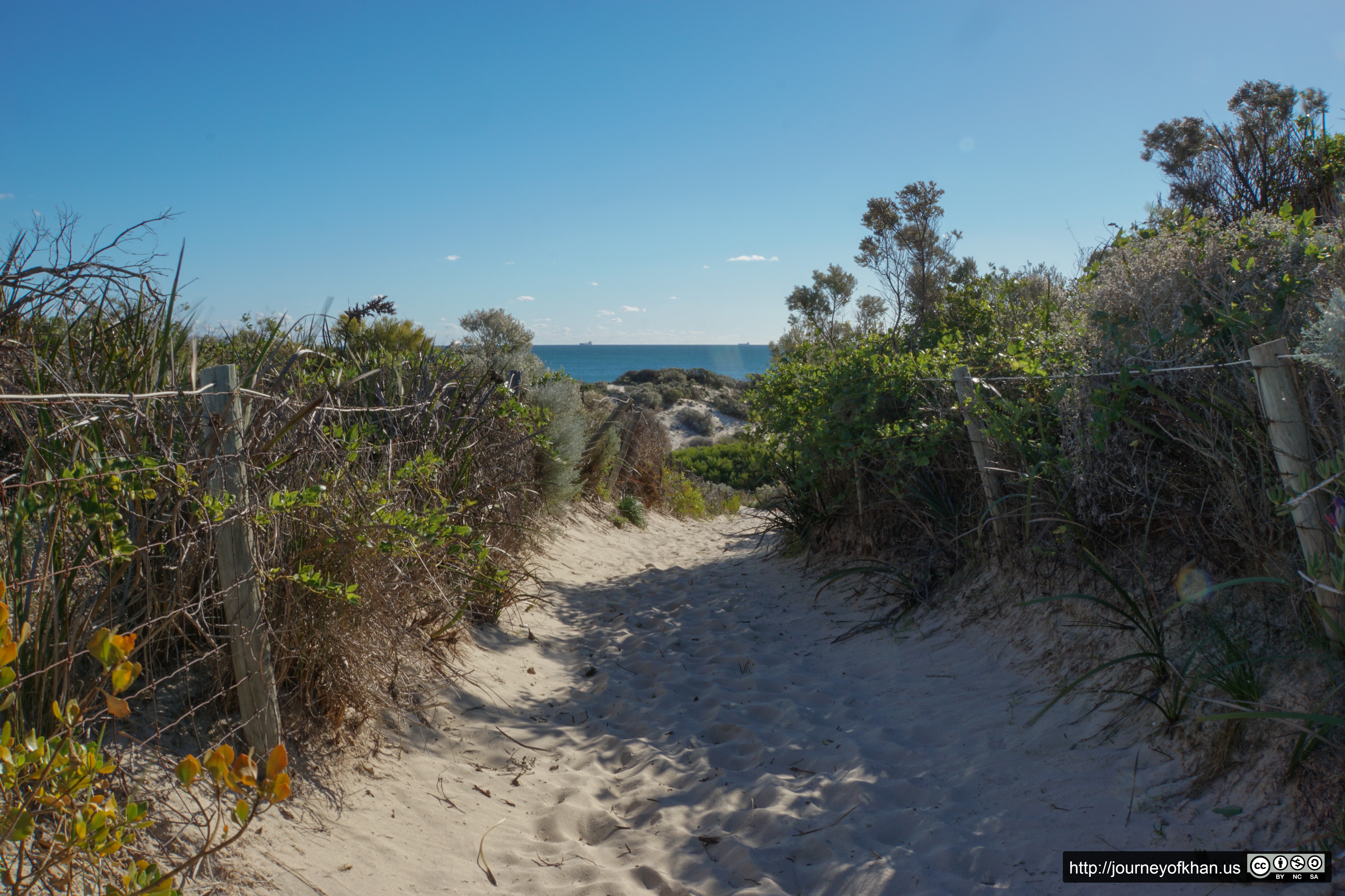 Path to the Sea (High Resolution)