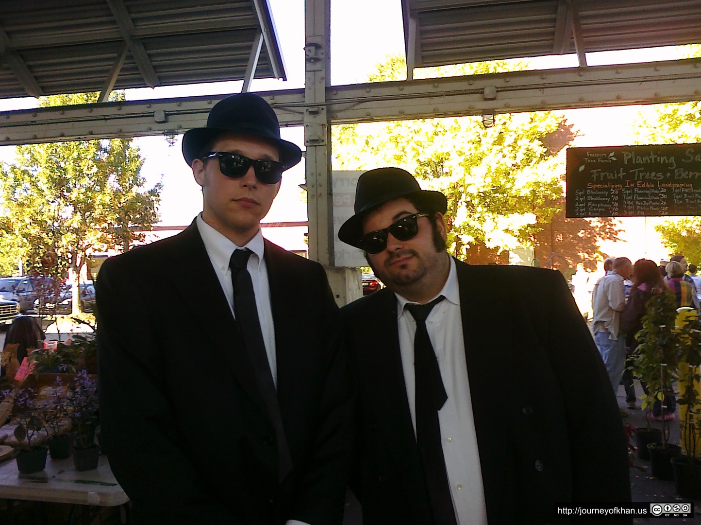 Blues Brothers