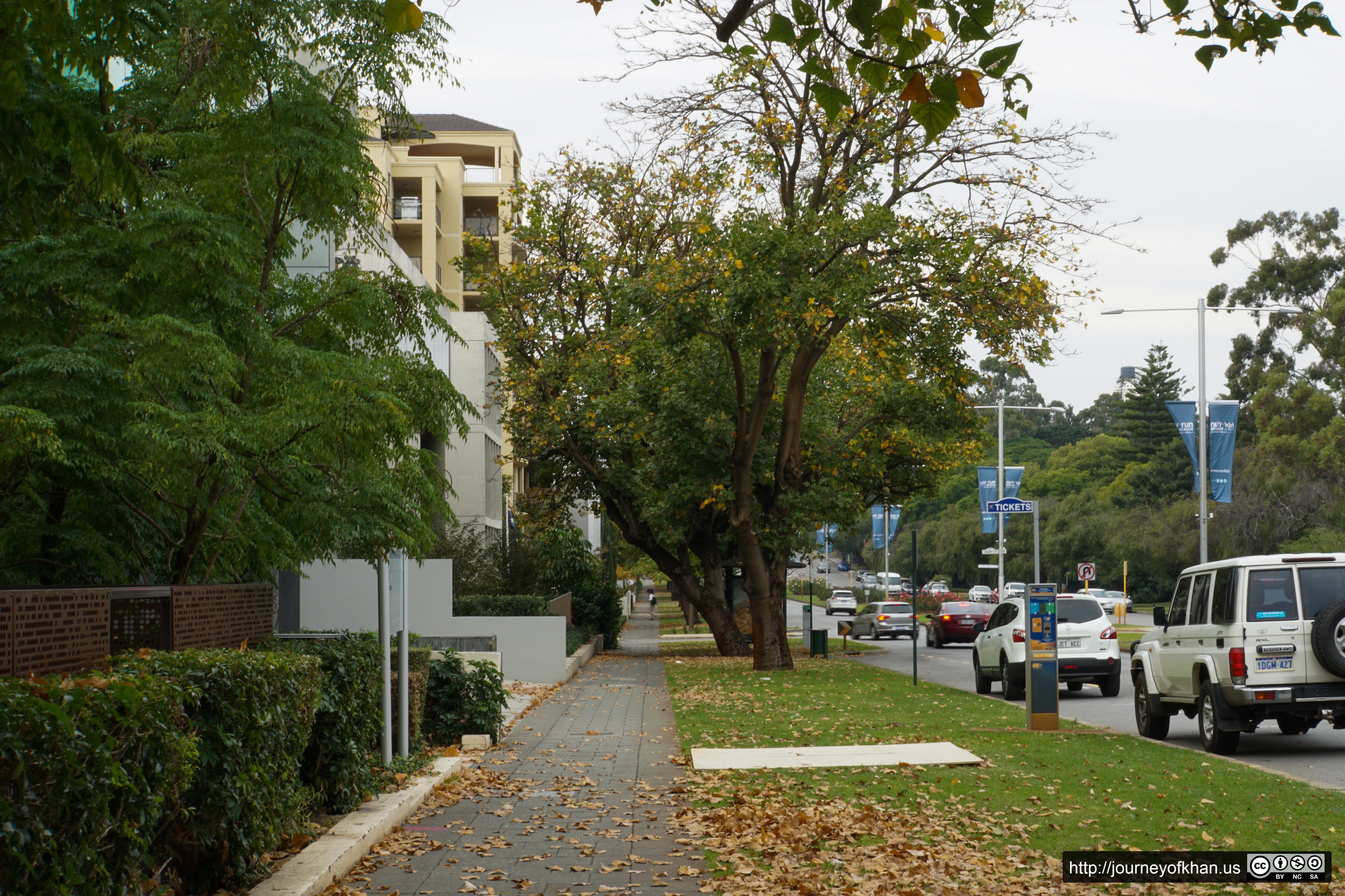 Autumn in Perth (High Resolution)