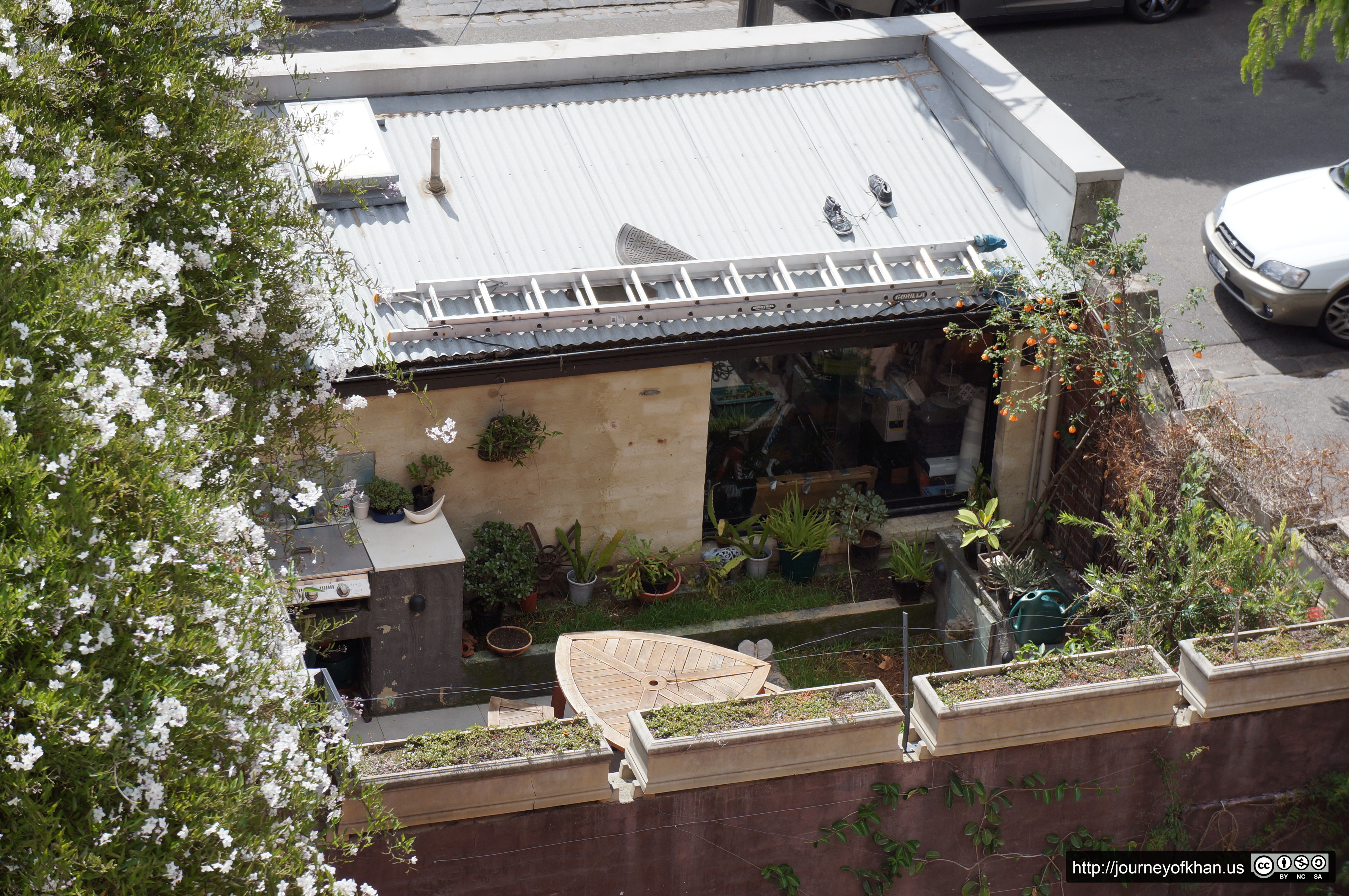 Garden in Fitzroy (High Resolution)