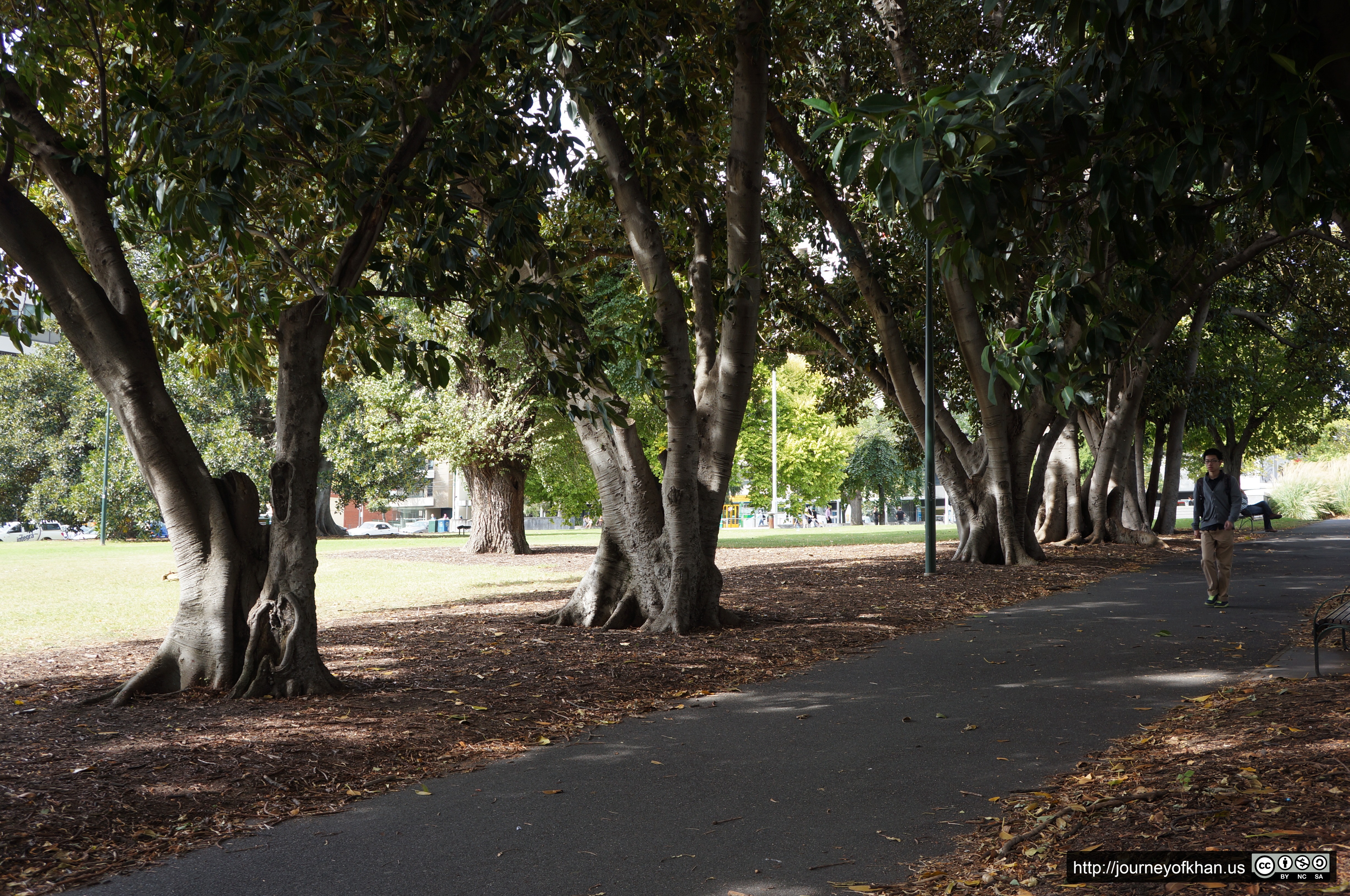 Walking in Lincoln Square (High Resolution)