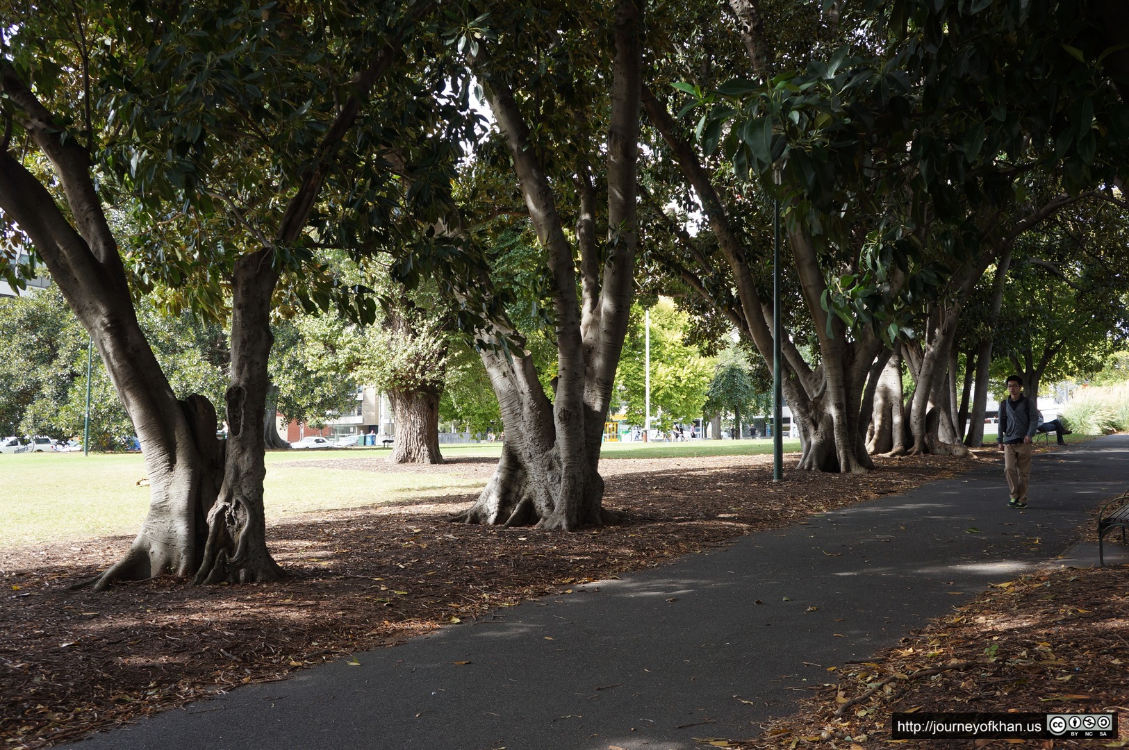 Walking in Lincoln Square