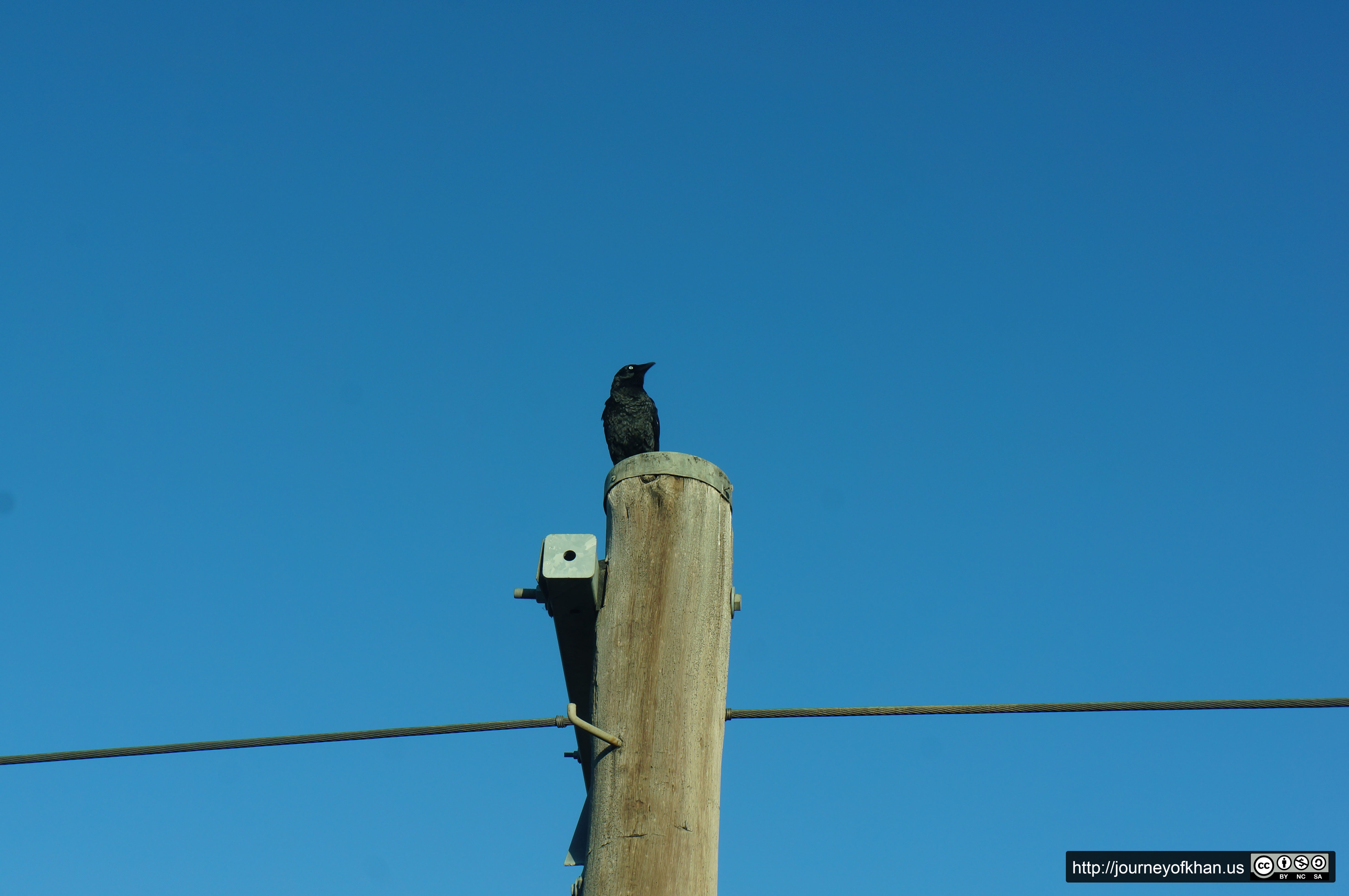 Nevermore (High Resolution)