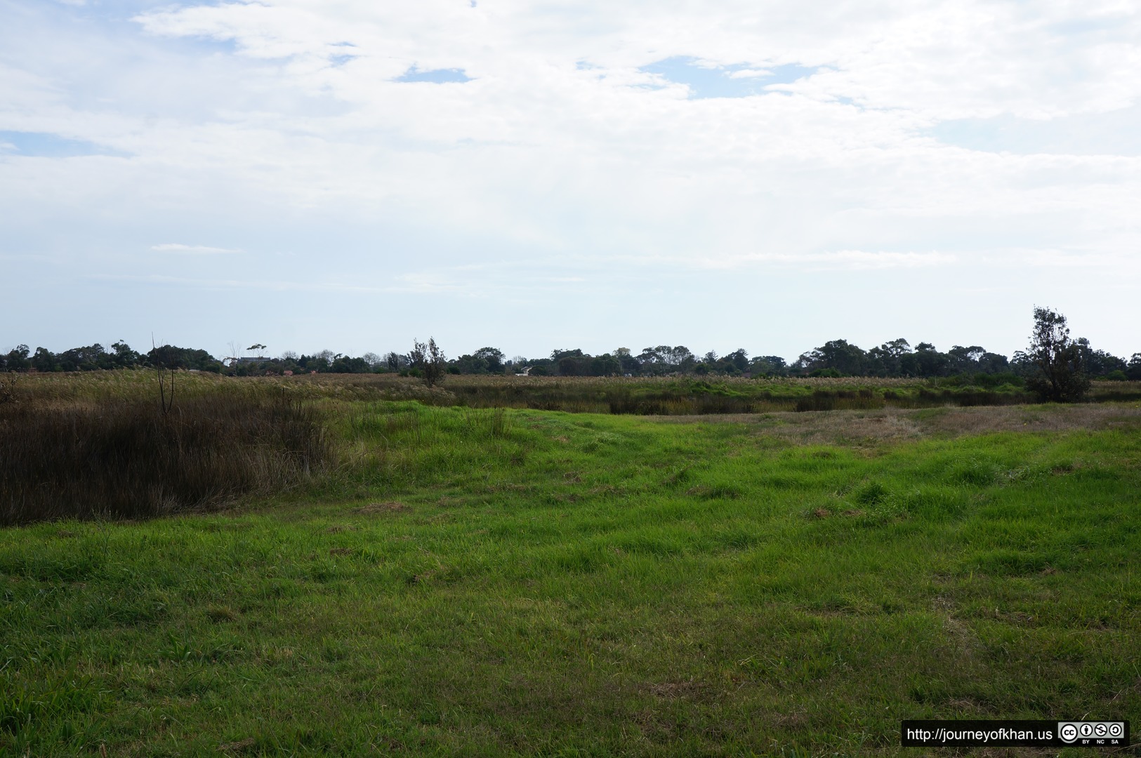 Green Meadows