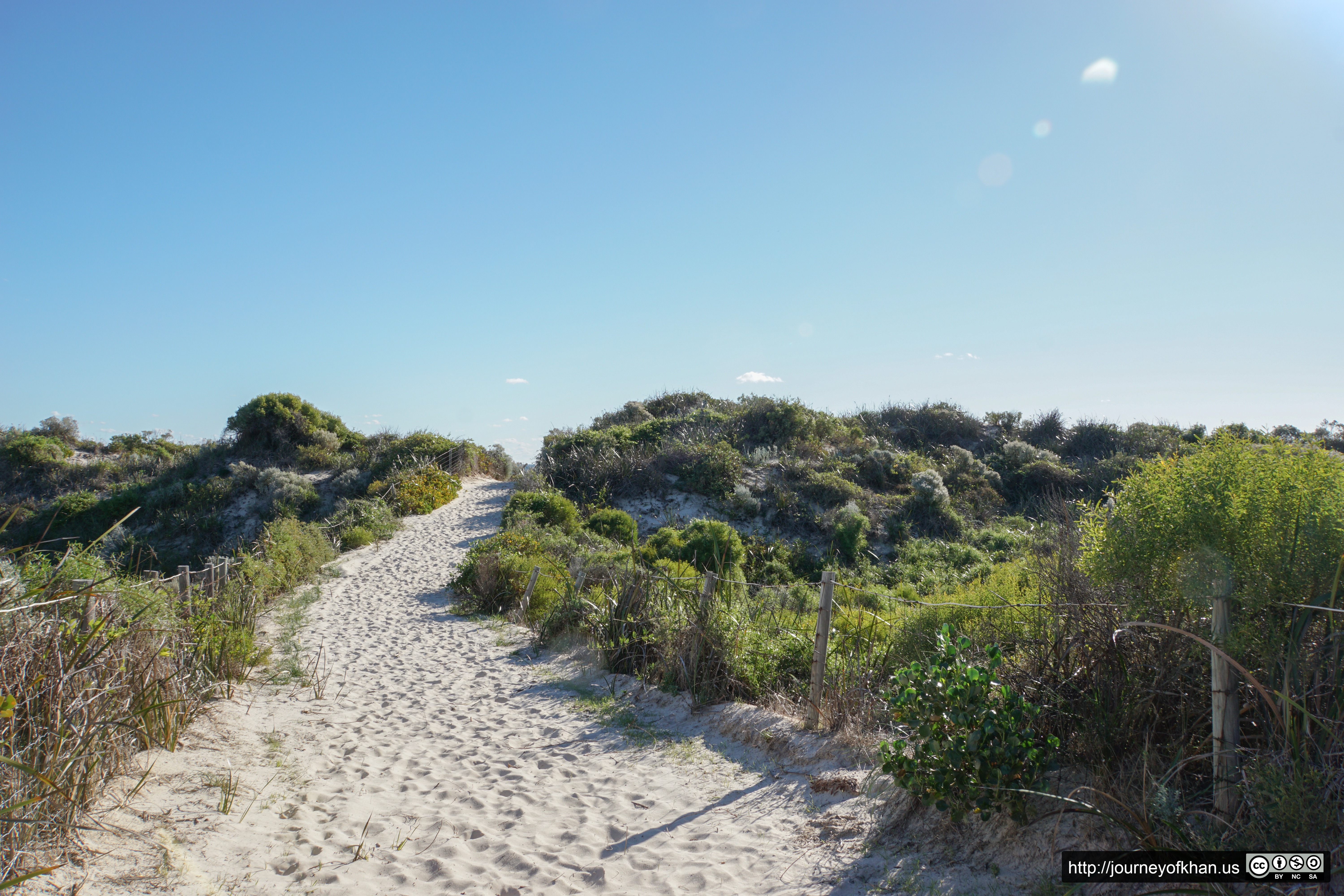 Fences and Dunes (High Resolution)