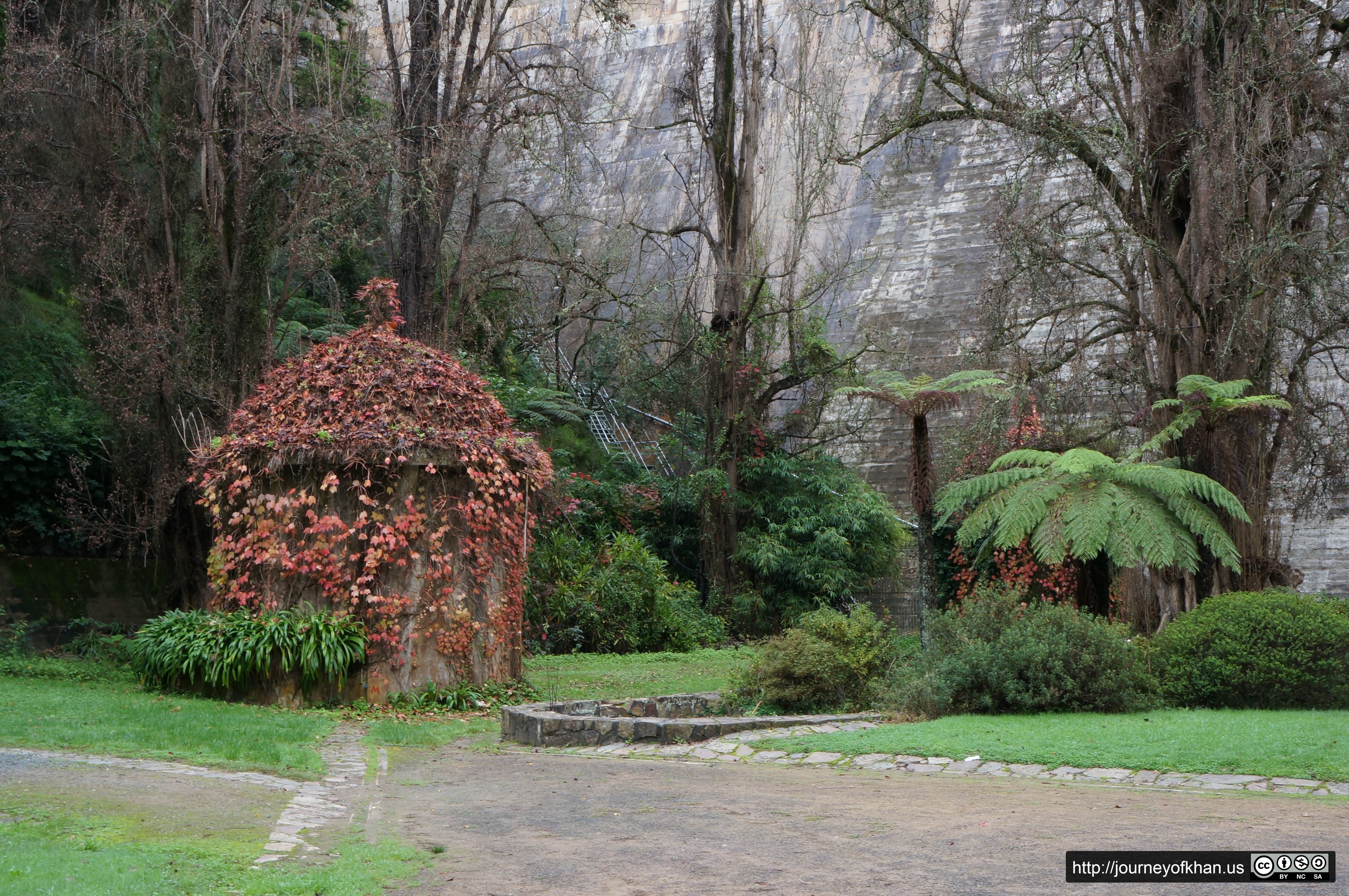 Red Leaf House (High Resolution)