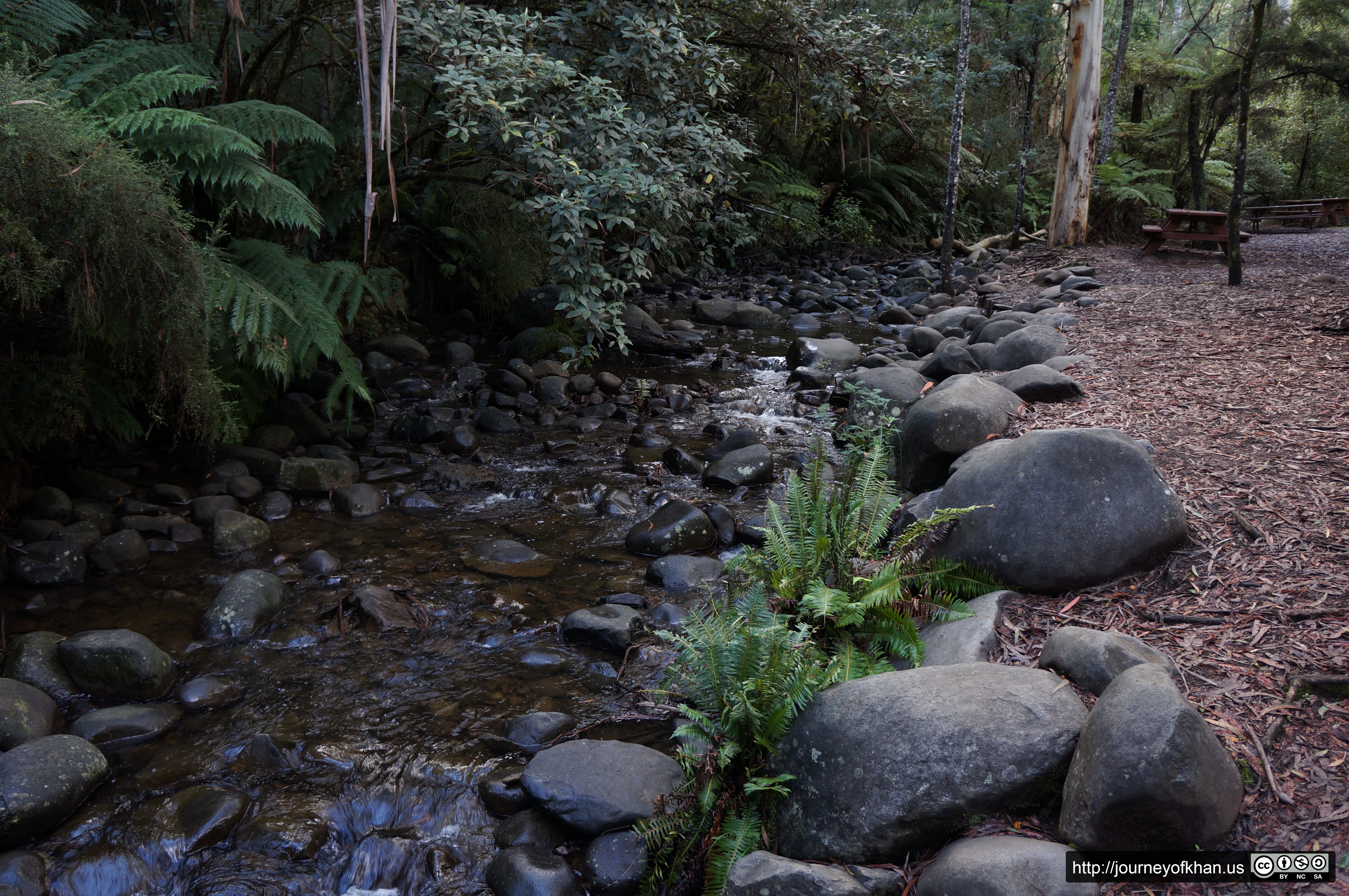 Creek and Benches in Healesville (High Resolution)