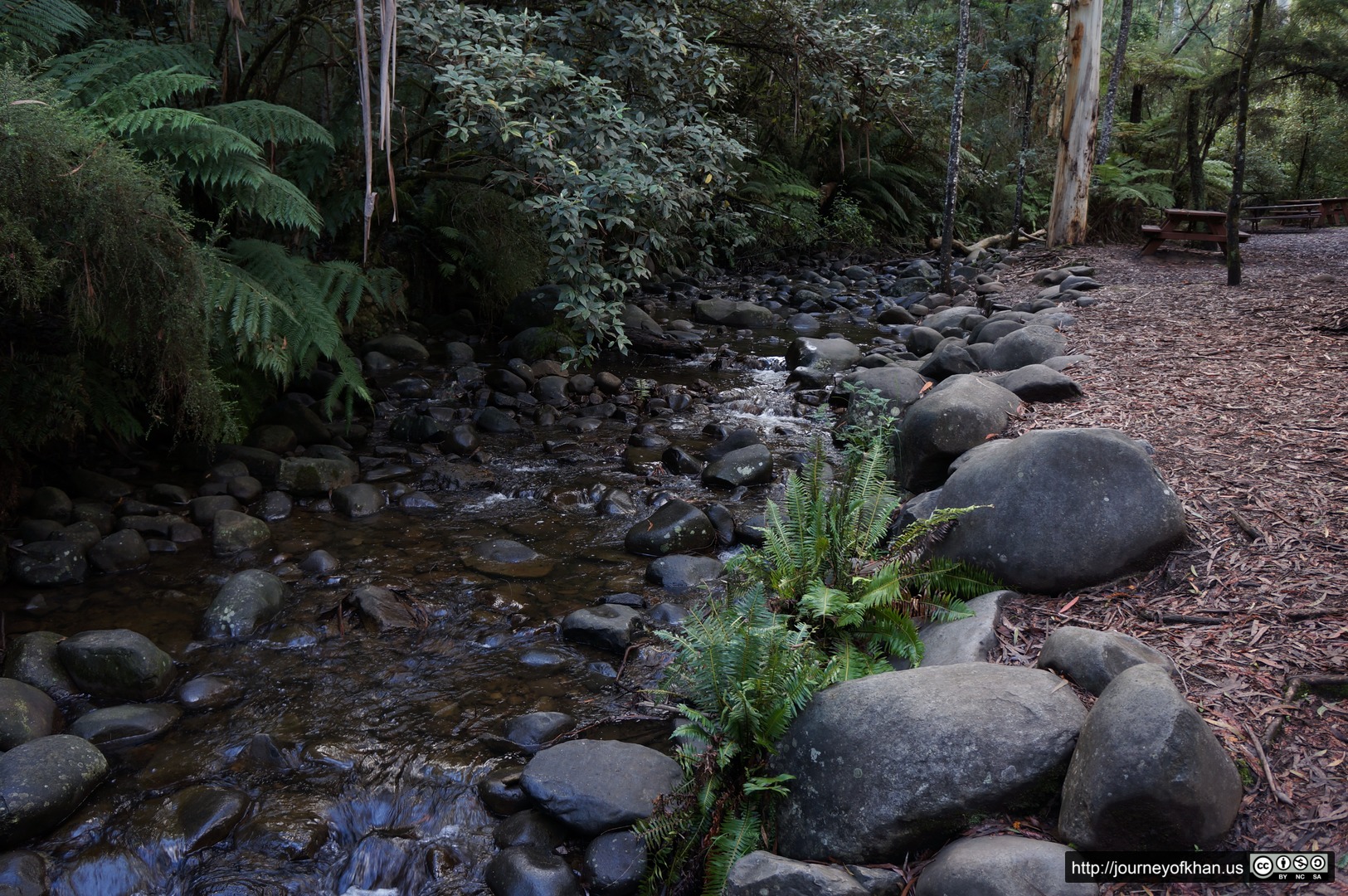 Creek and Benches in Healesville