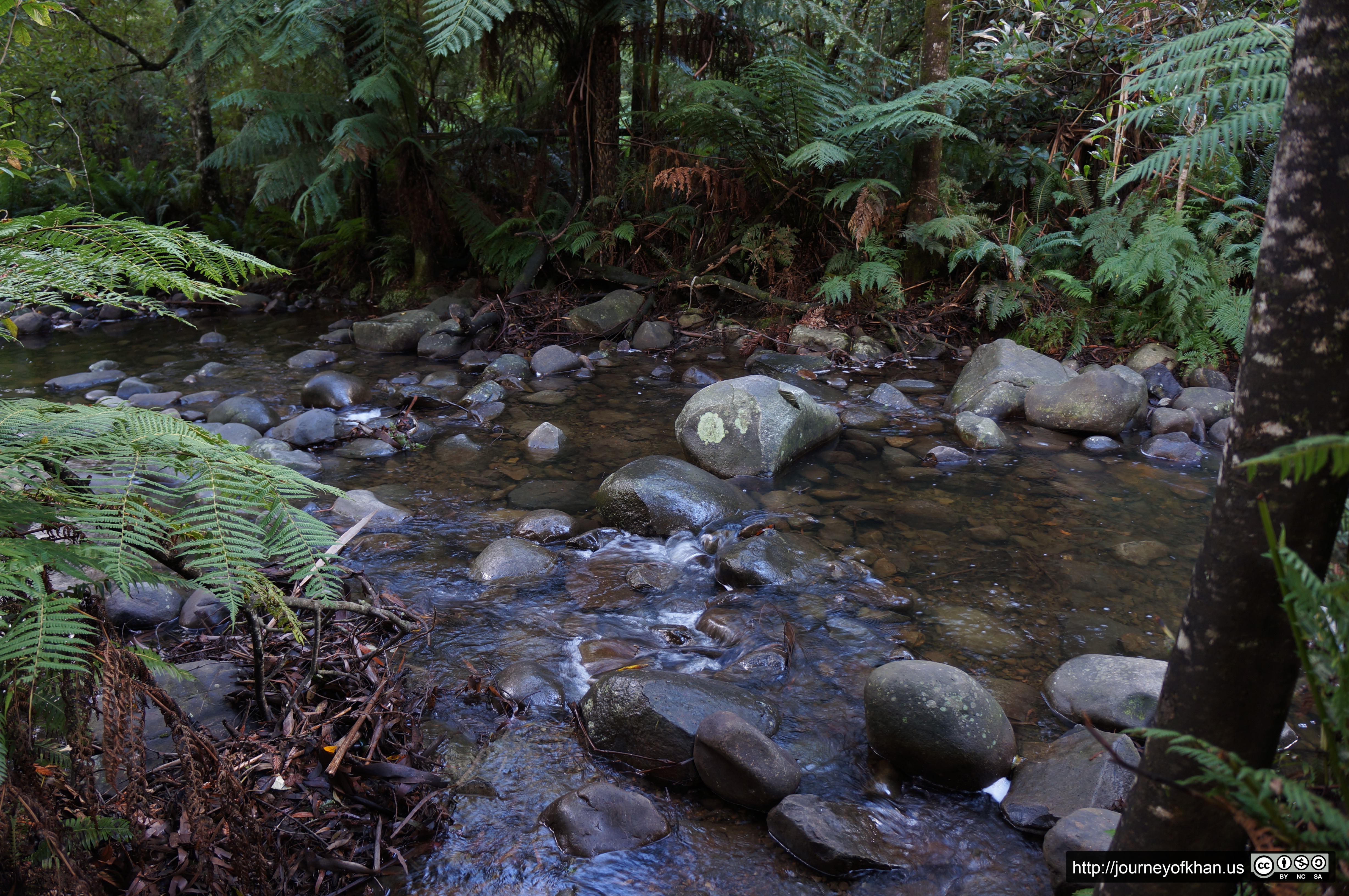 Creek in Healesville (High Resolution)