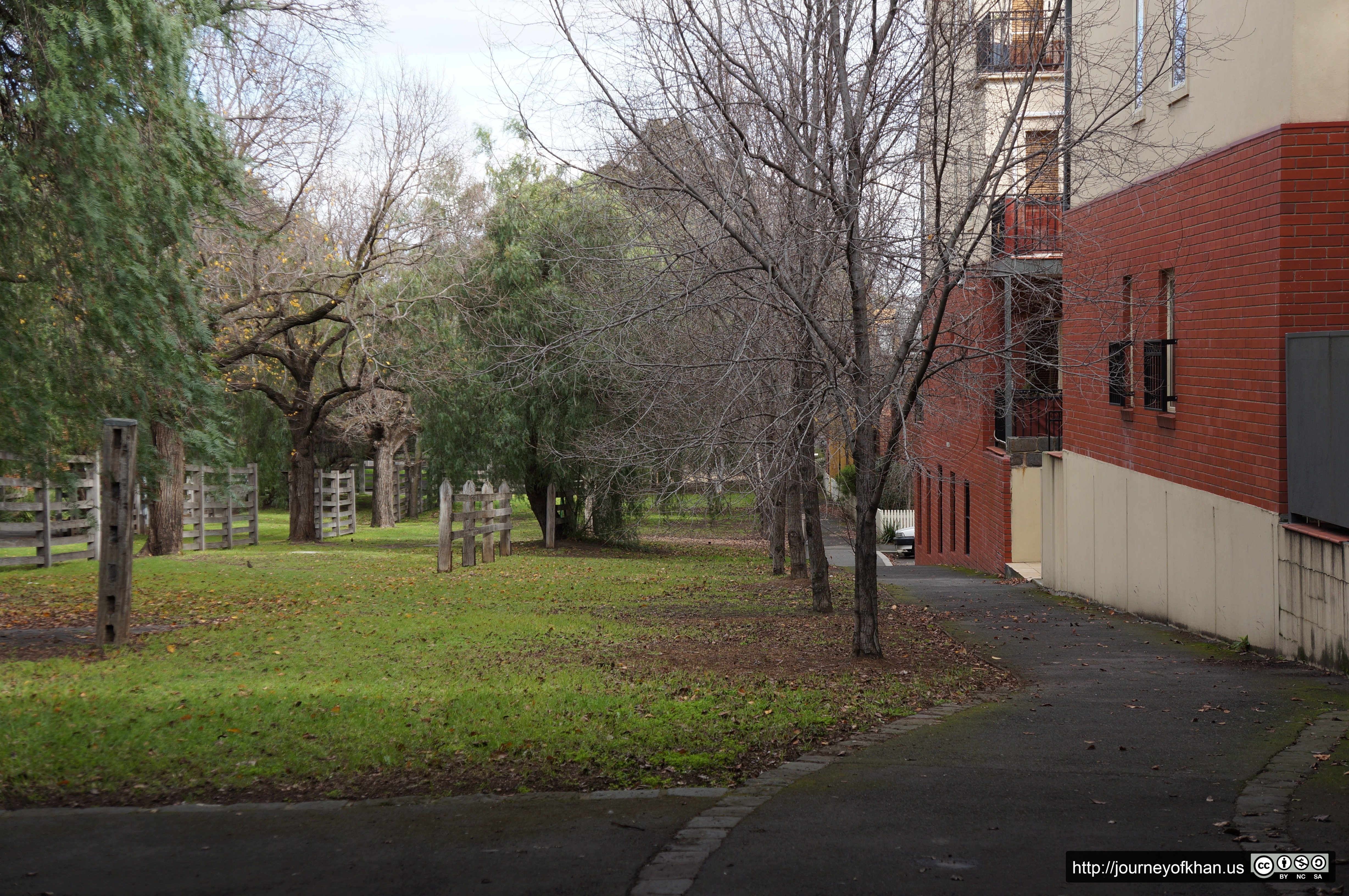 Cattle Paths (High Resolution)