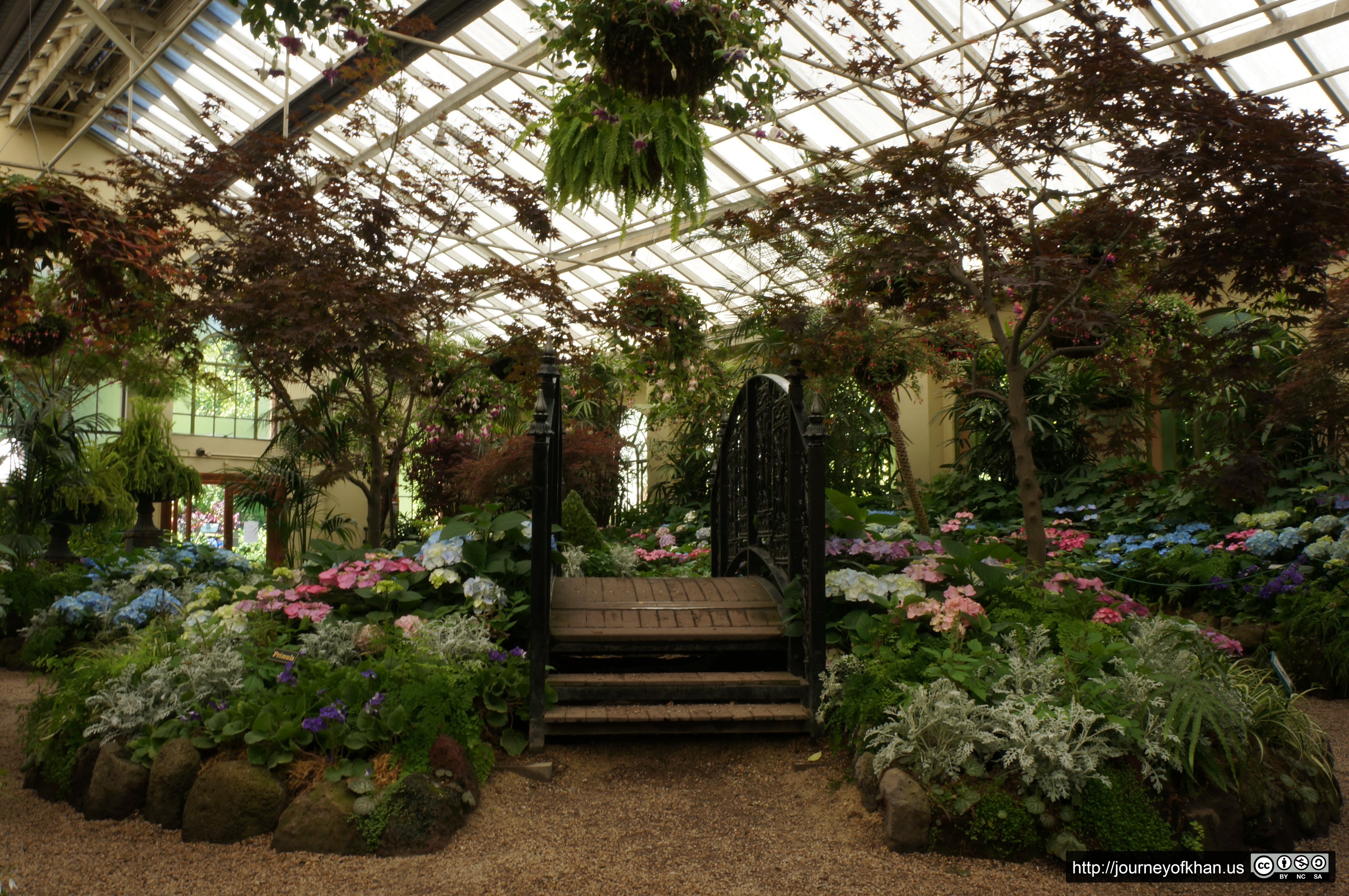 Bridge in Fitzroy Conservatory (High Resolution)