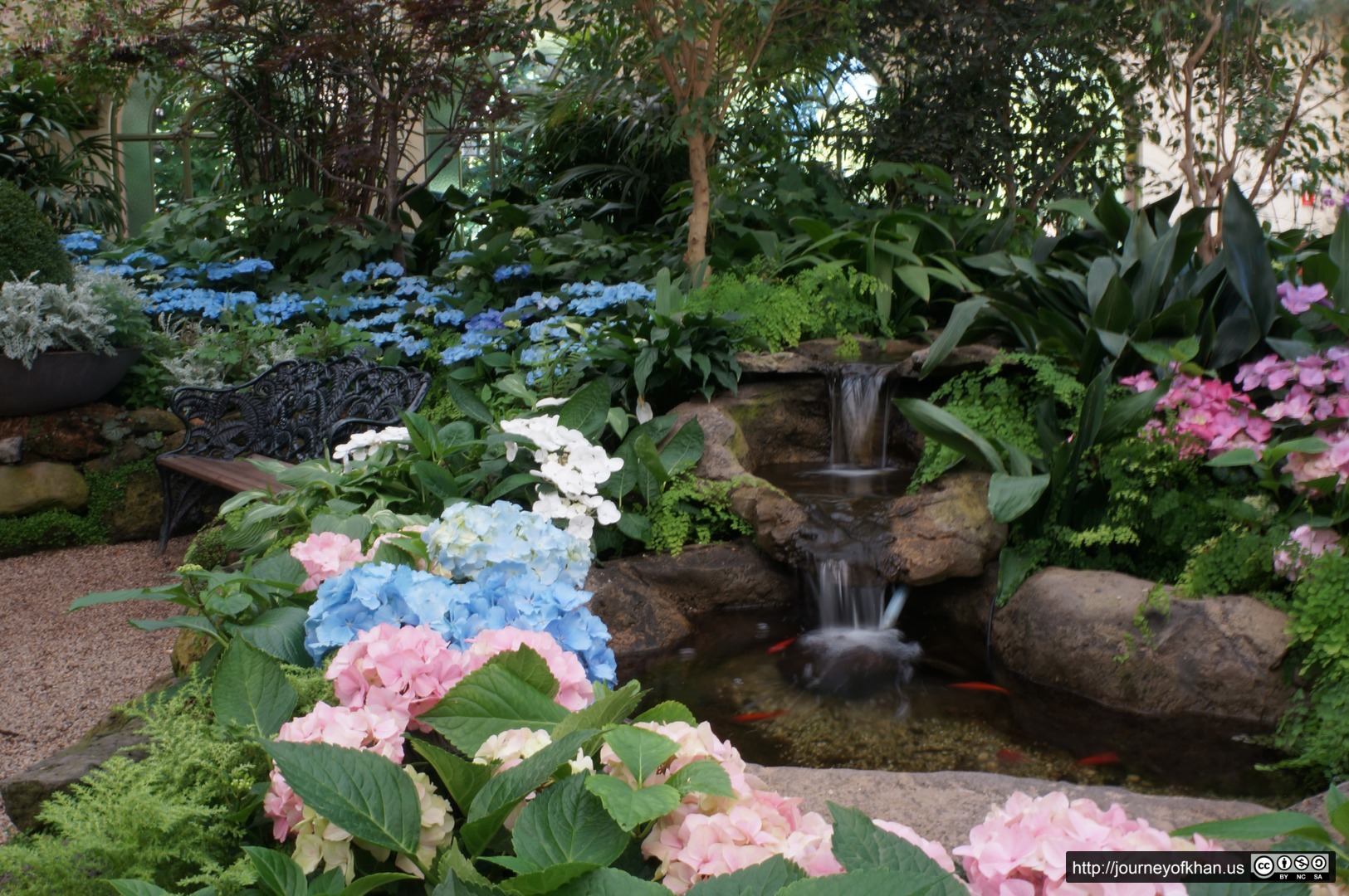 Fish at Fitzroy Gardens Conservatory