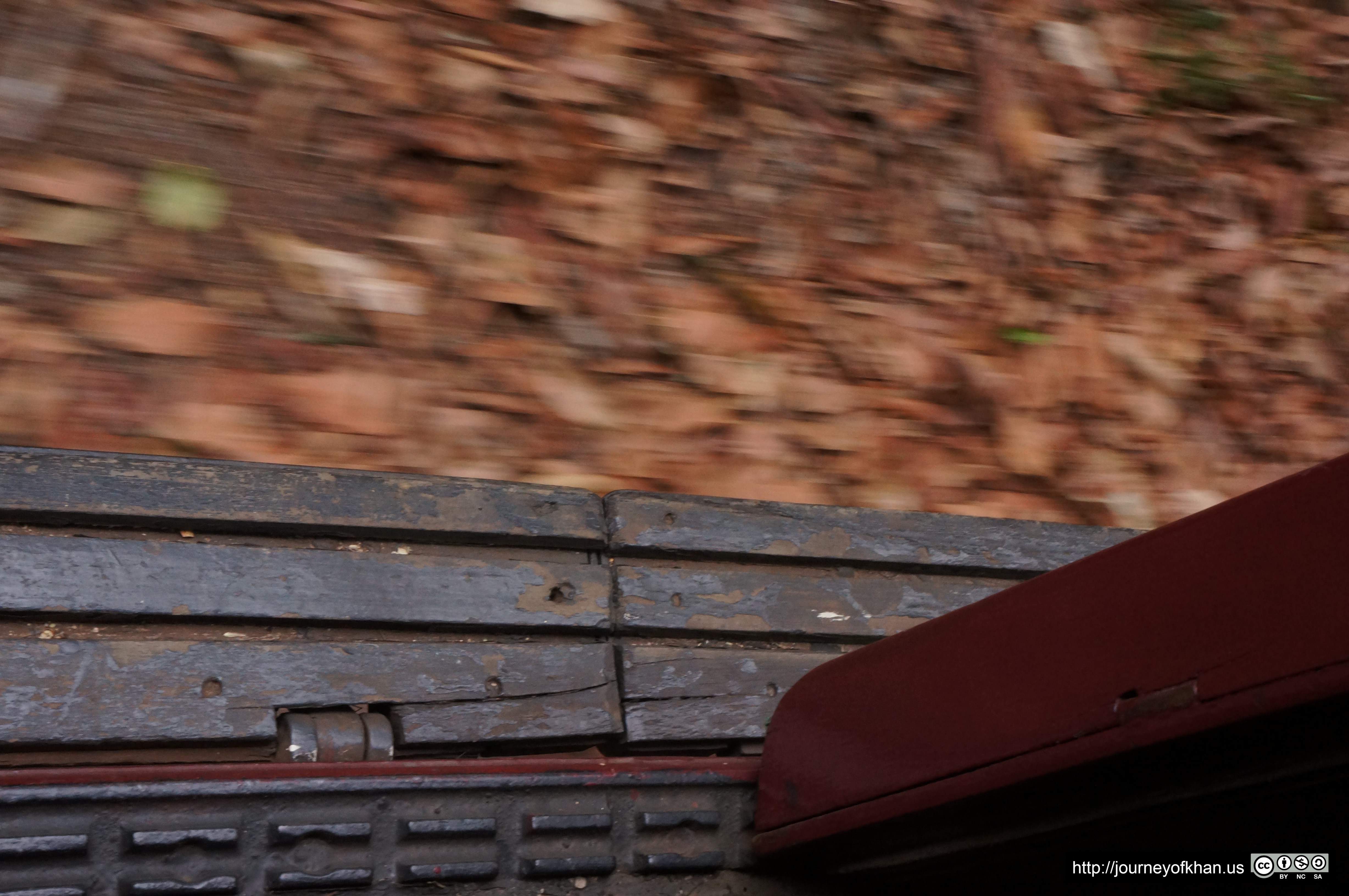 Old Tram and Leaves (High Resolution)