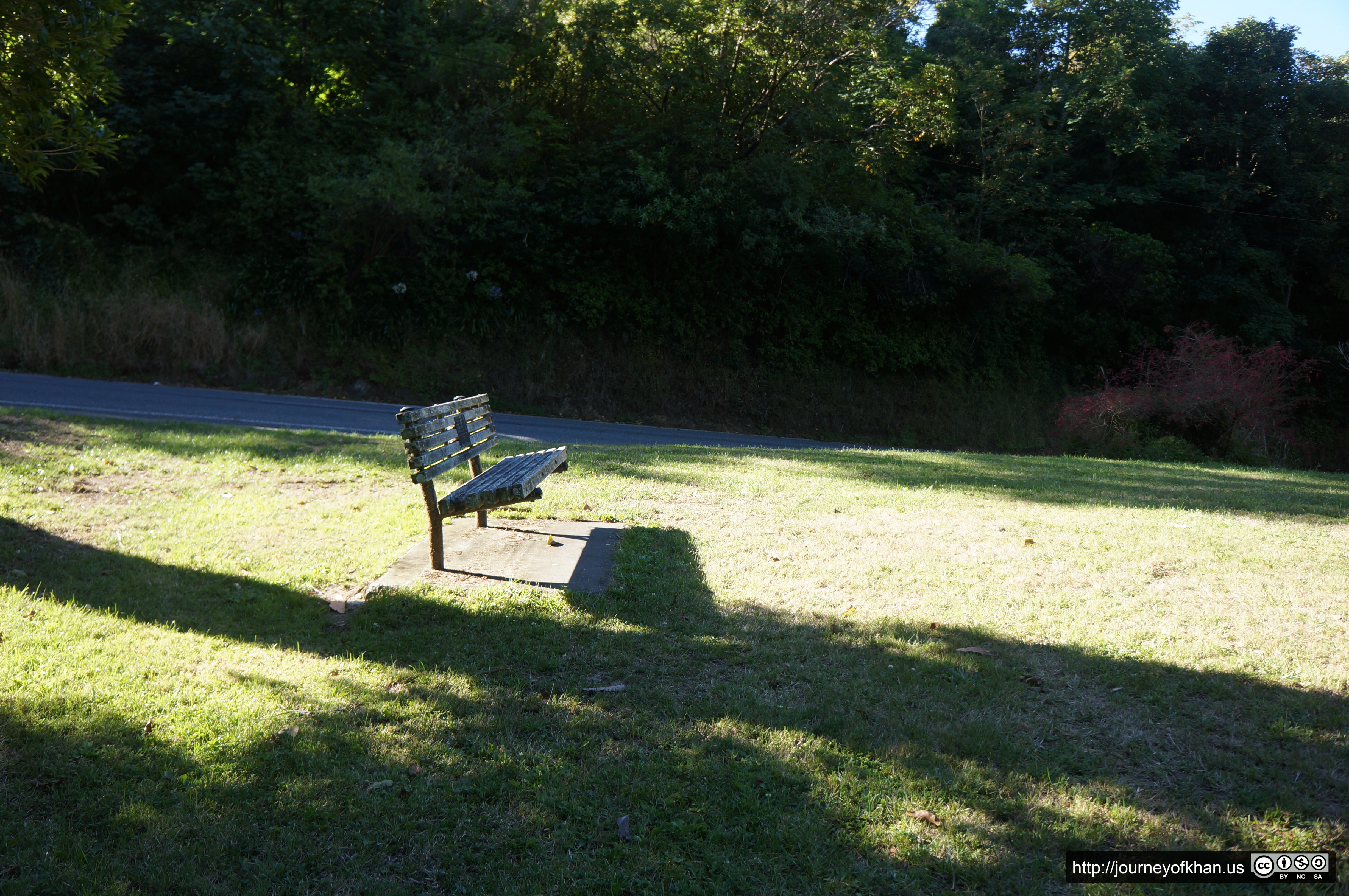 Bench near Central Park (High Resolution)