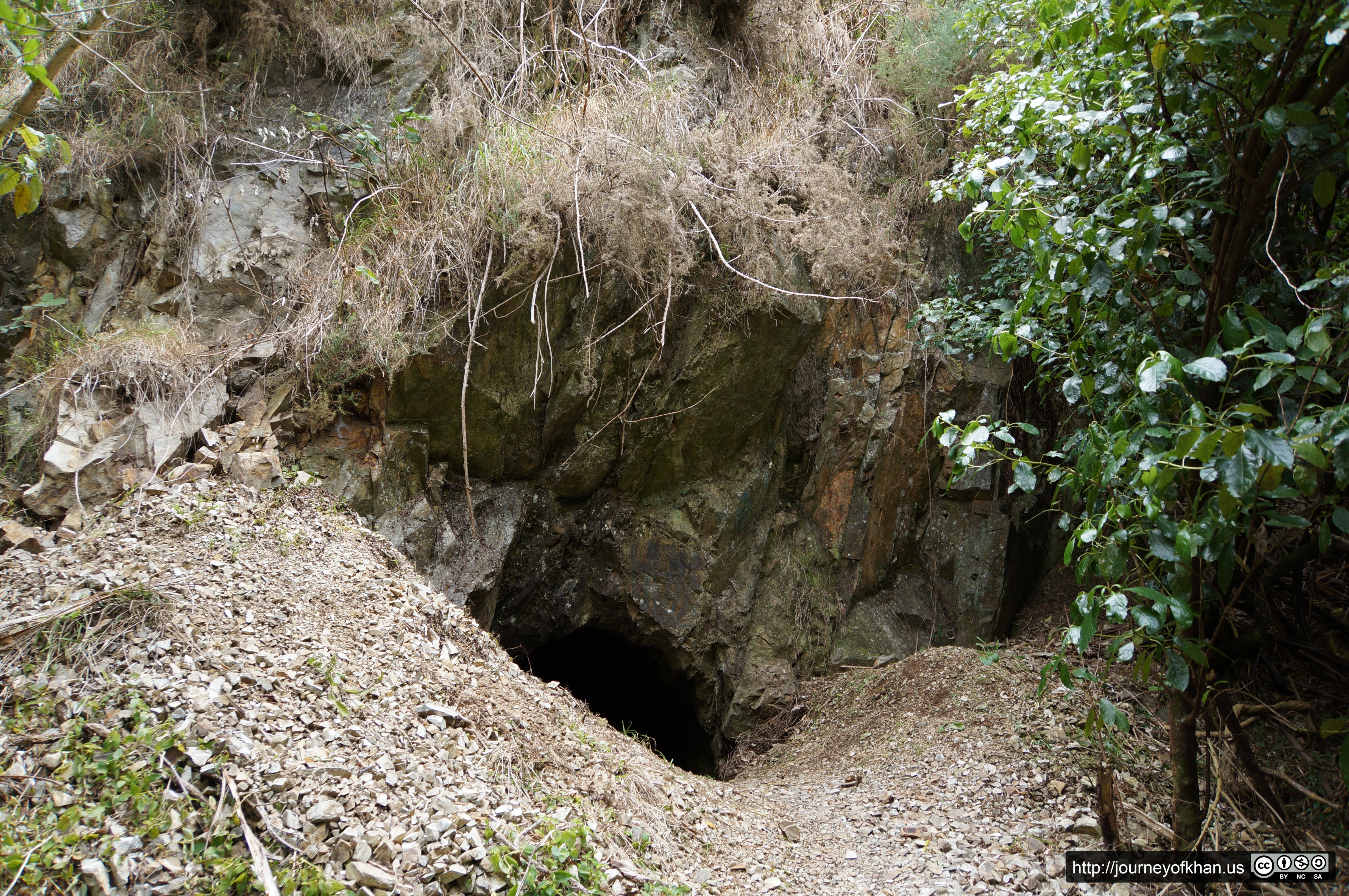 Not a Hobbit Hole in Town Belt Park (High Resolution)