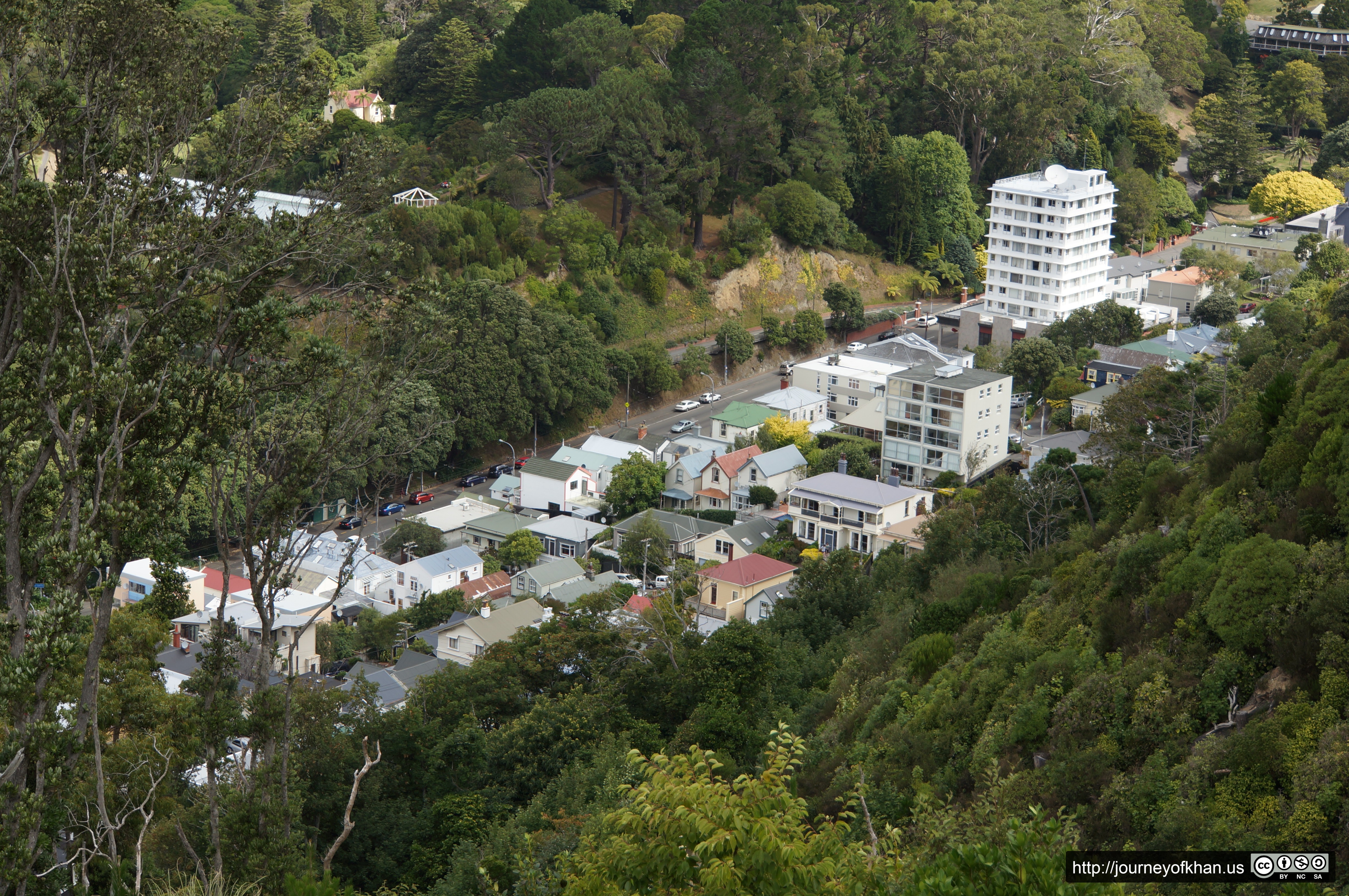 Avenue of Houses (High Resolution)