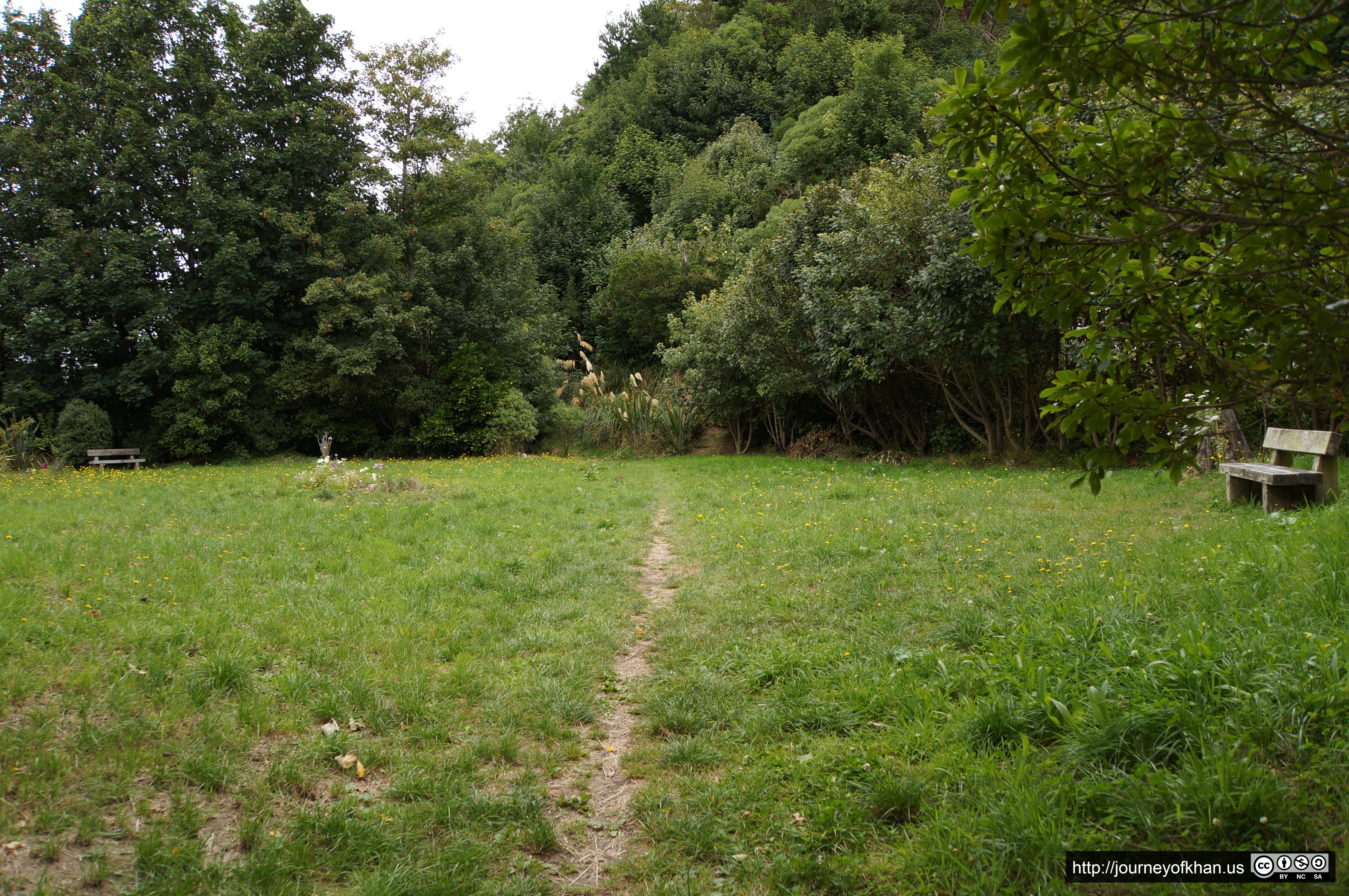 Benches and Meadow (High Resolution)