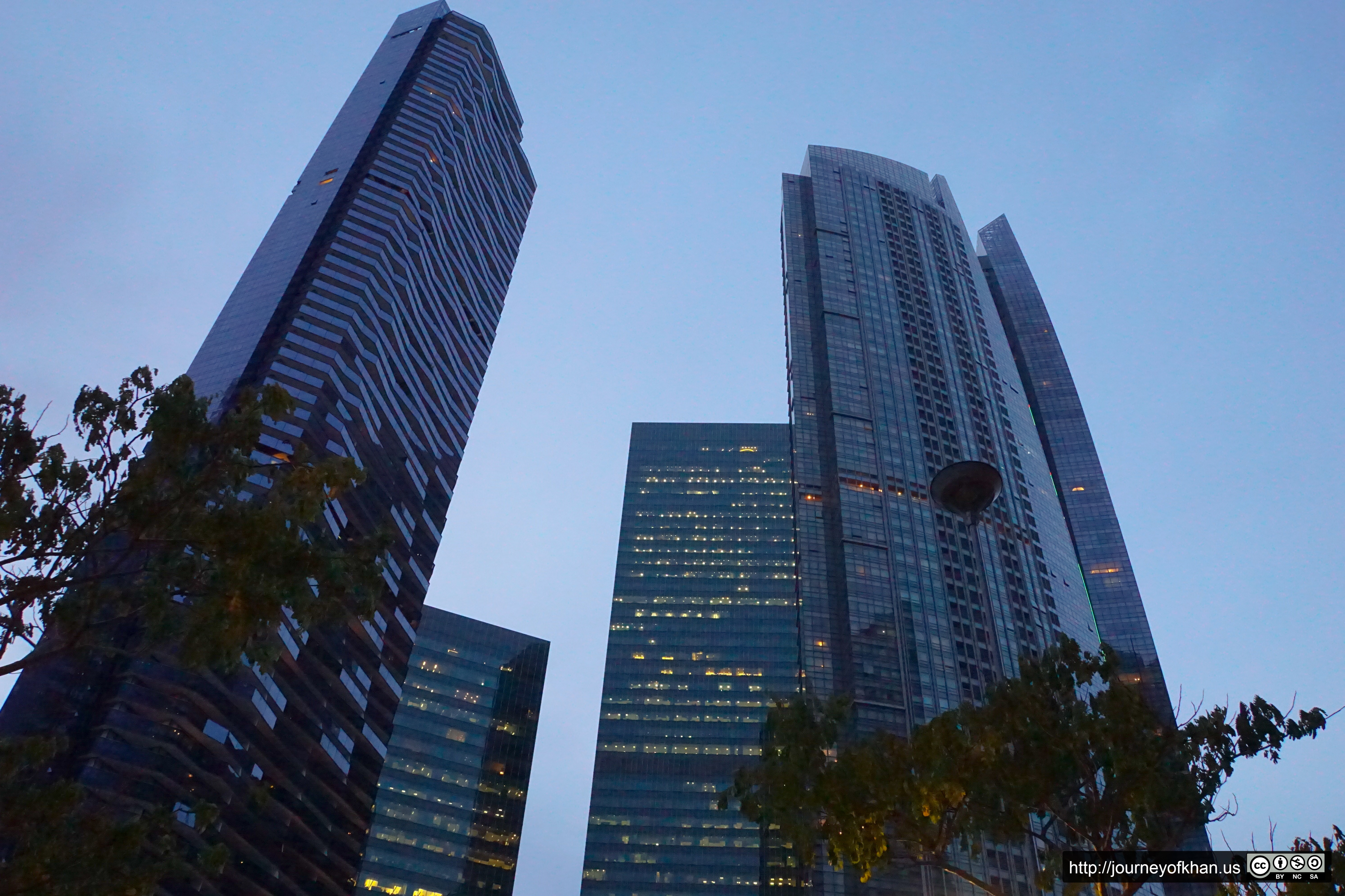 Dark Trees and Late Night Offices (High Resolution)