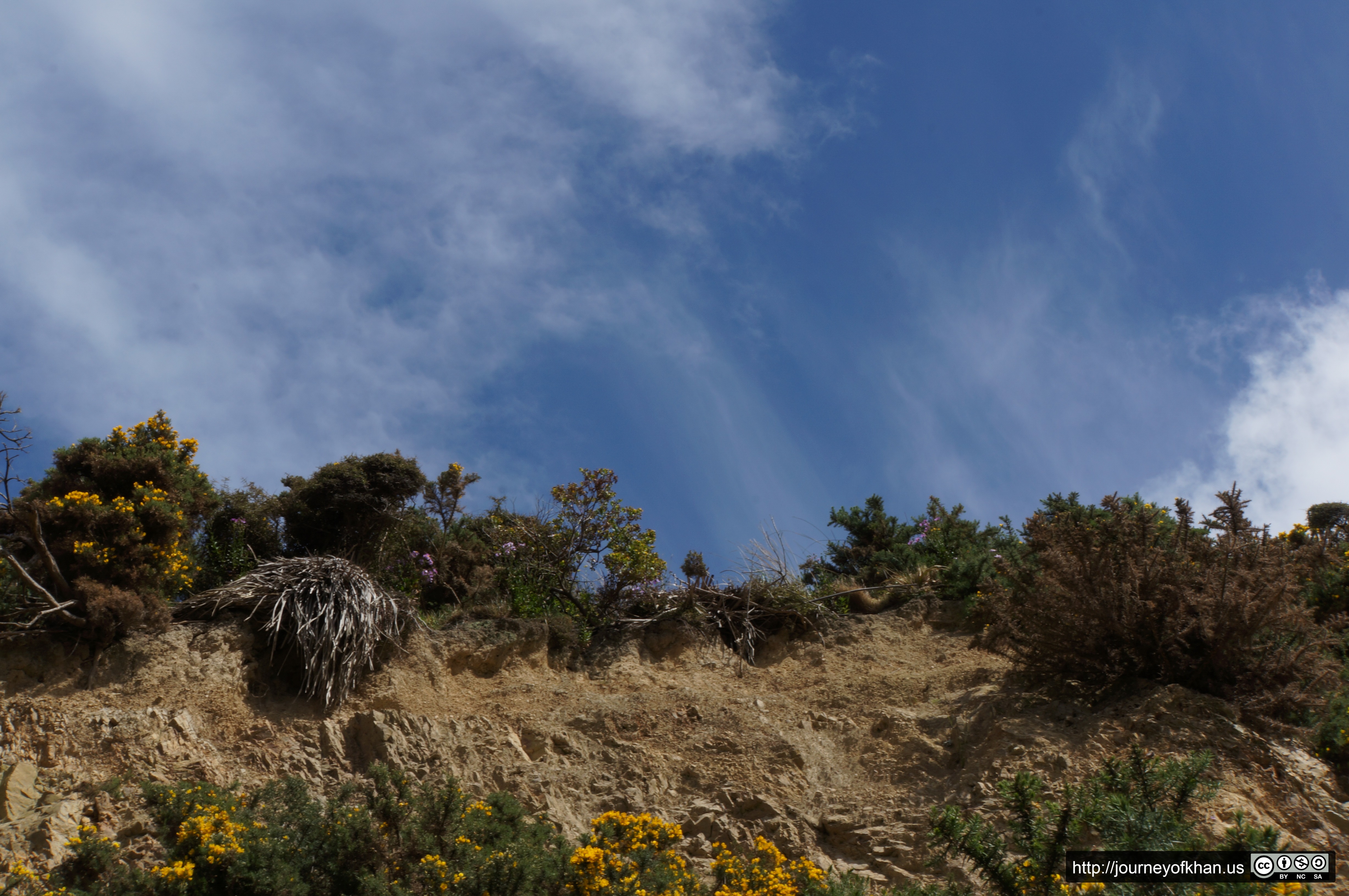 On the Cliffs of Red Rocks (High Resolution)