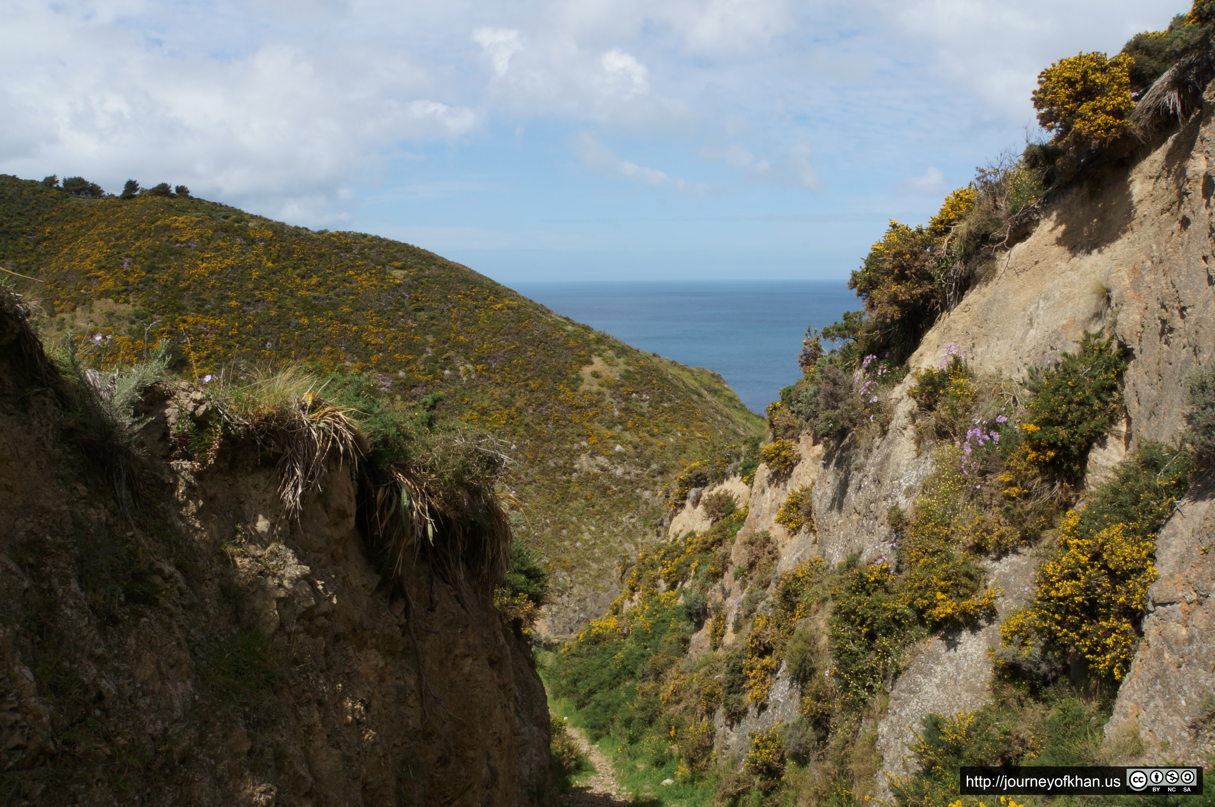 The Sea Between Hills of Yellow and Green (High Resolution)