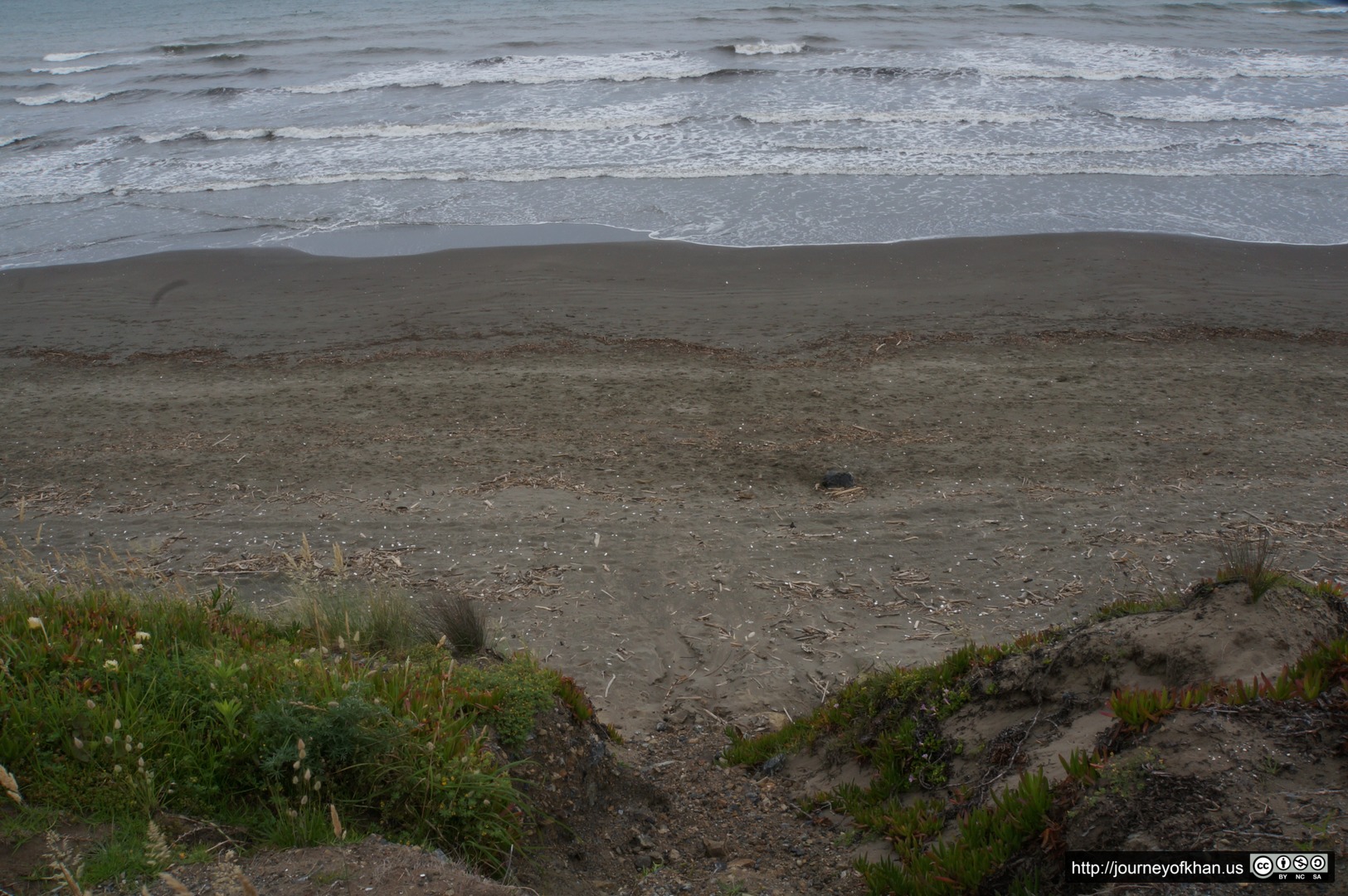 Paekakariki Beach