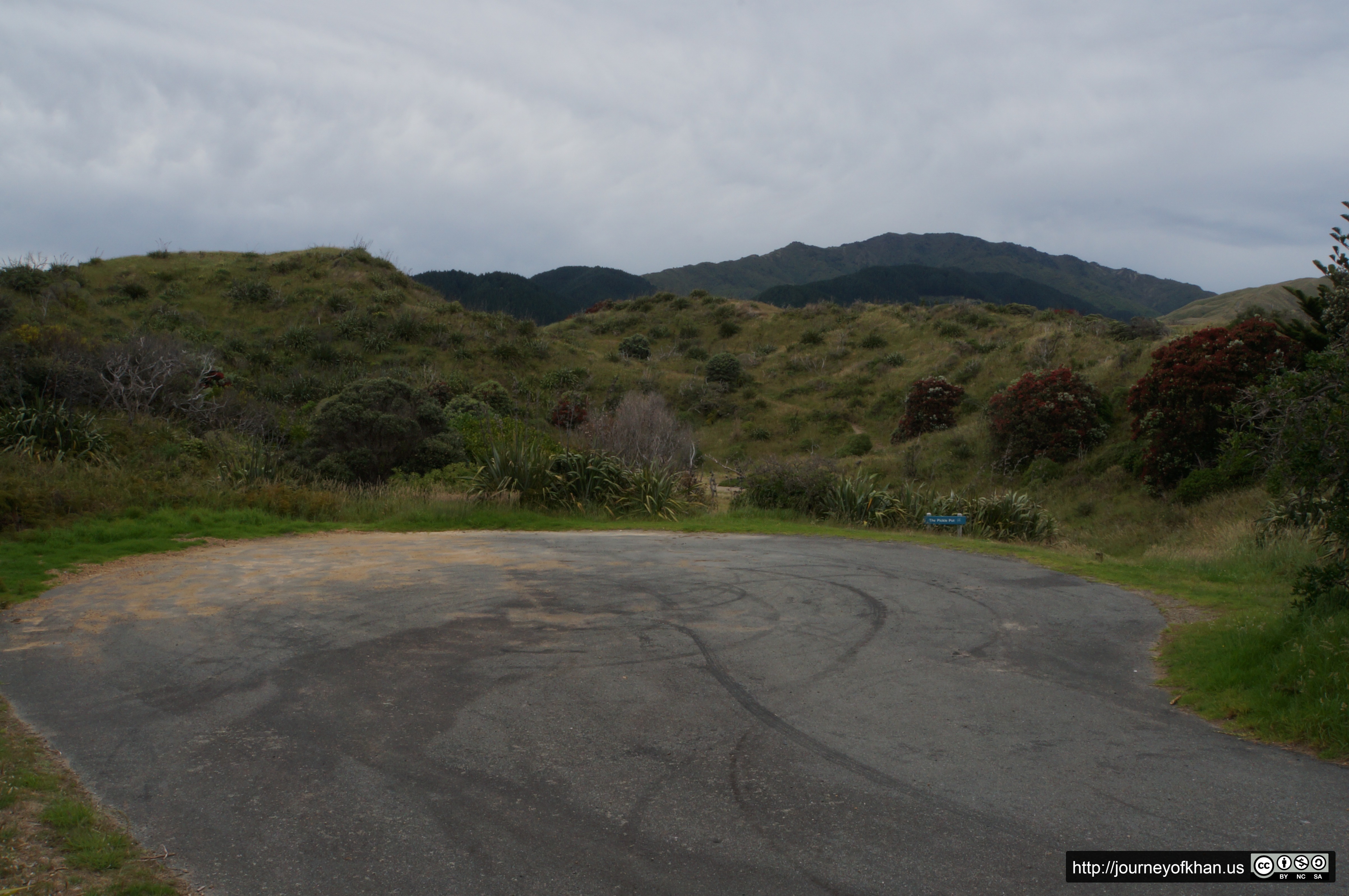 Turnaround in Paekakariki (High Resolution)