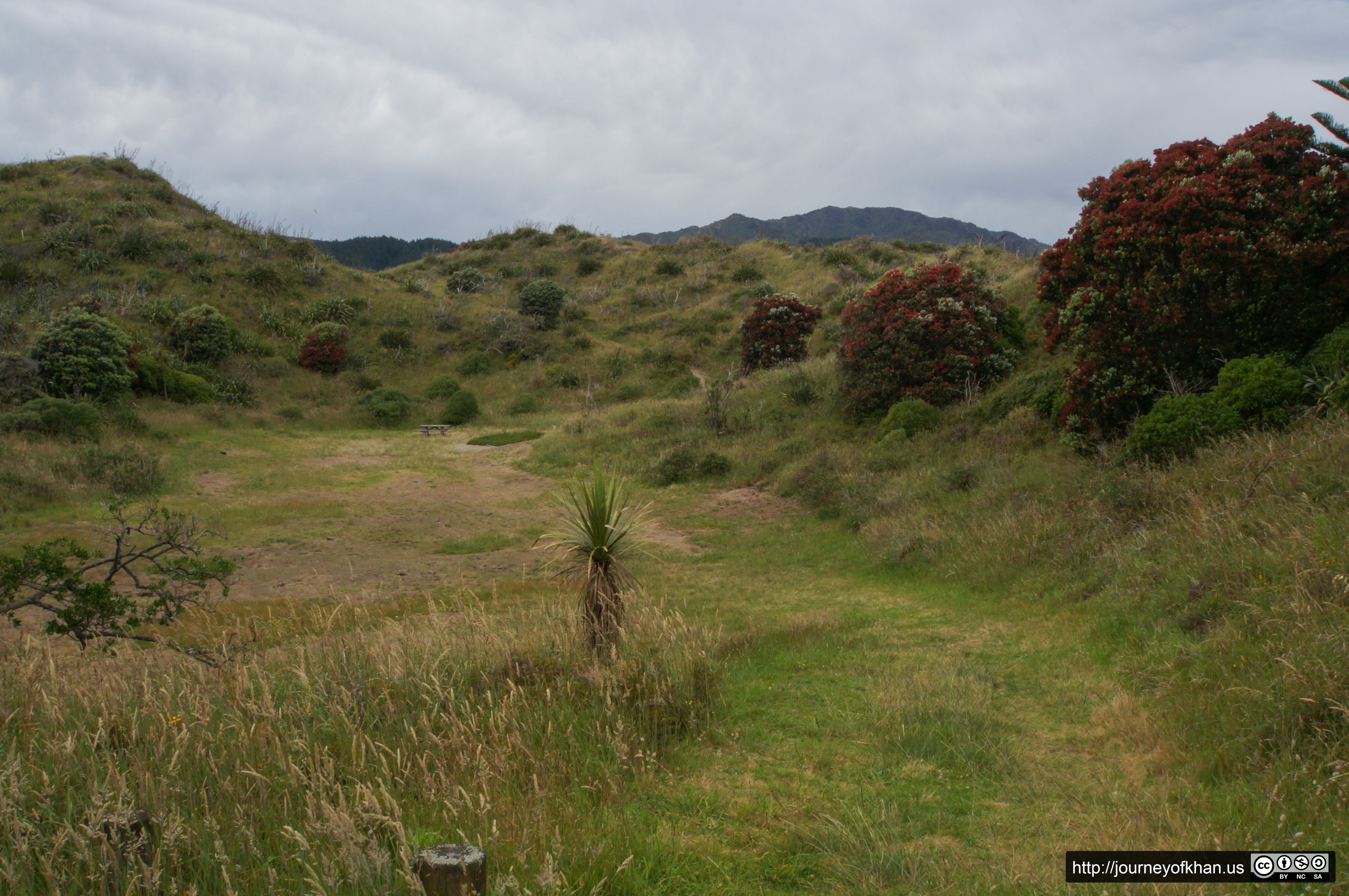 Bench in a Park in Paekakariki (High Resolution)