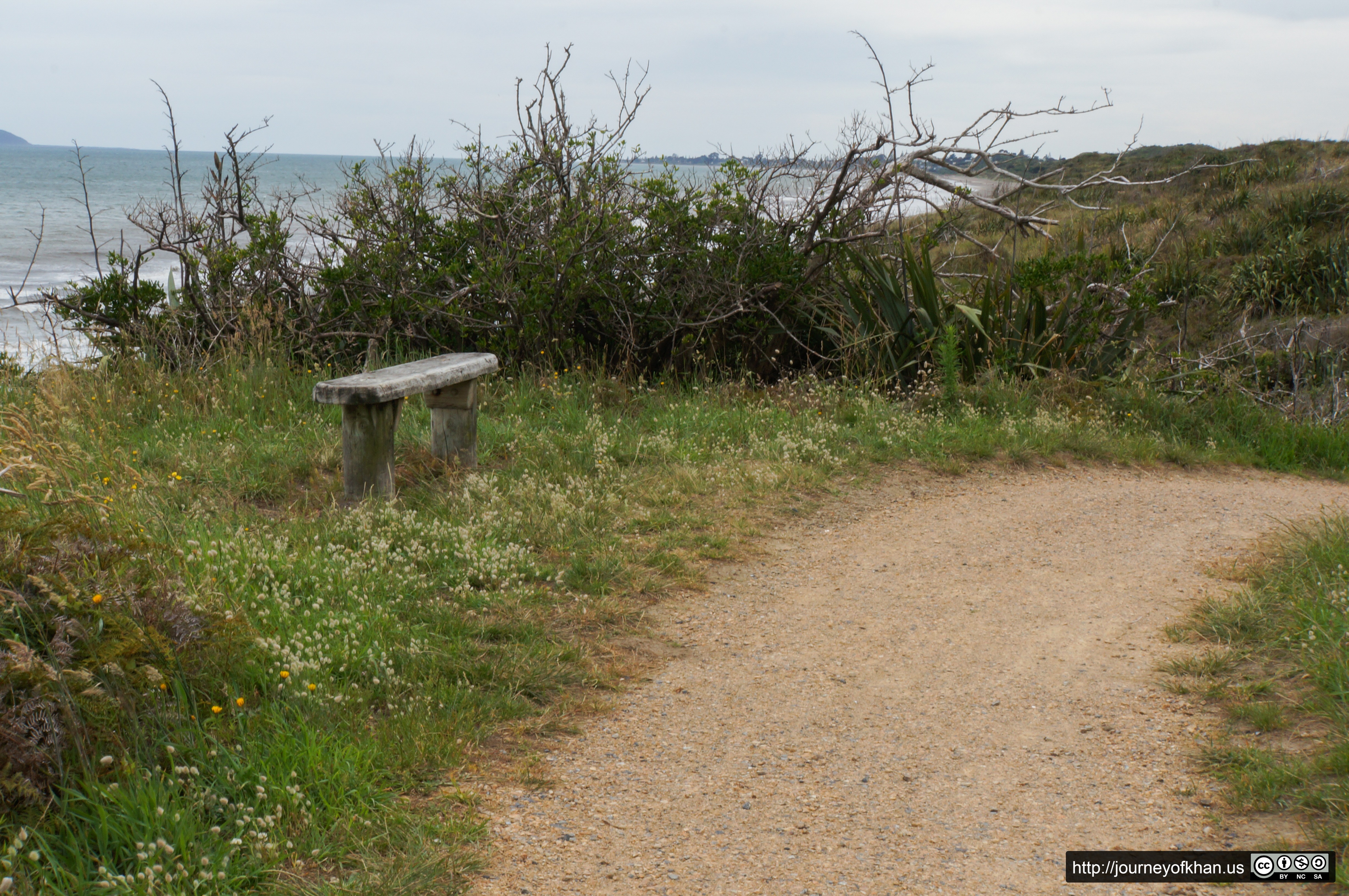 Bench and a Path (High Resolution)