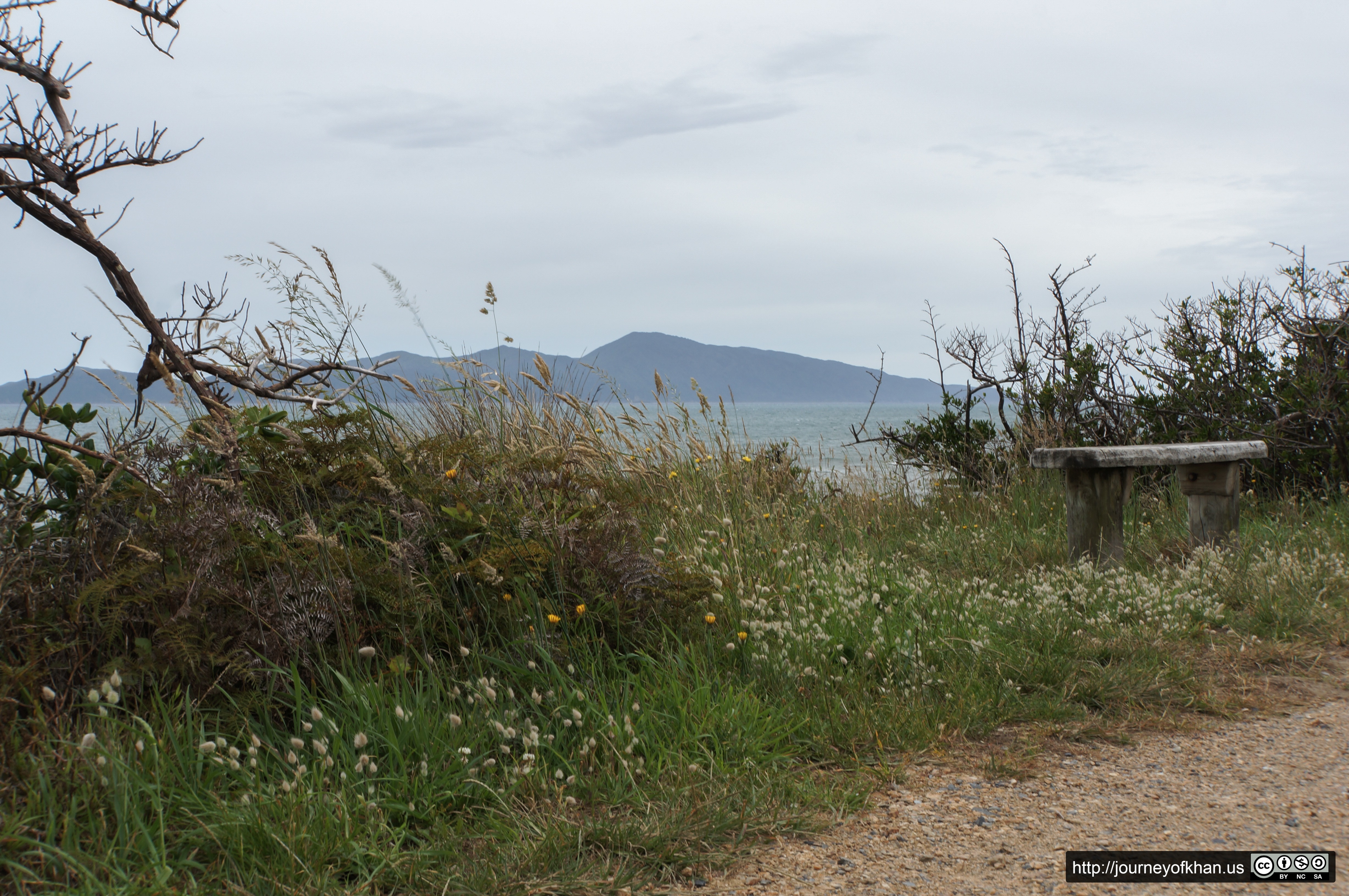 Bench and an Island (High Resolution)