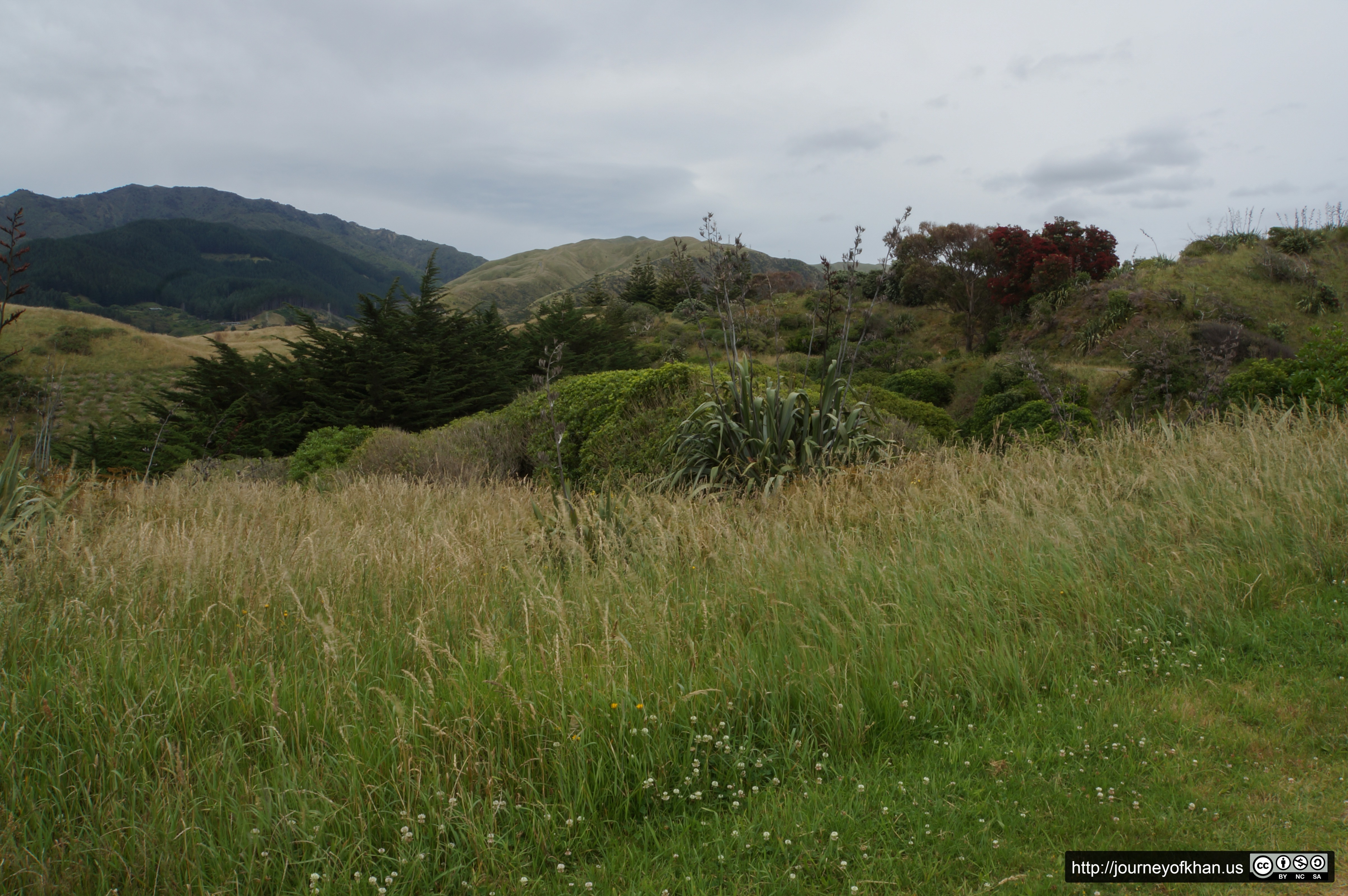 Hills of Paekakariki (High Resolution)