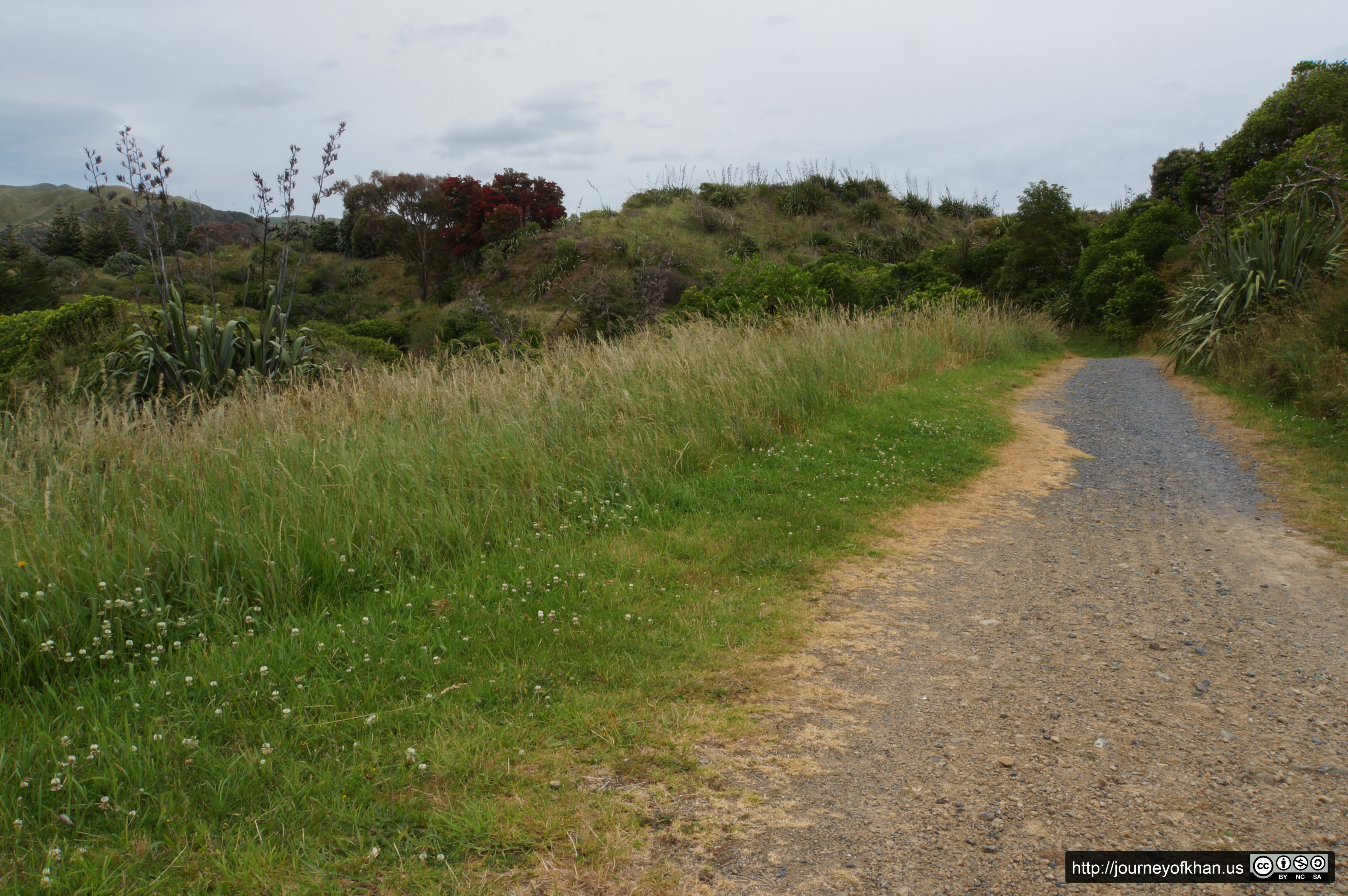 Paekakariki Holiday Park (High Resolution)