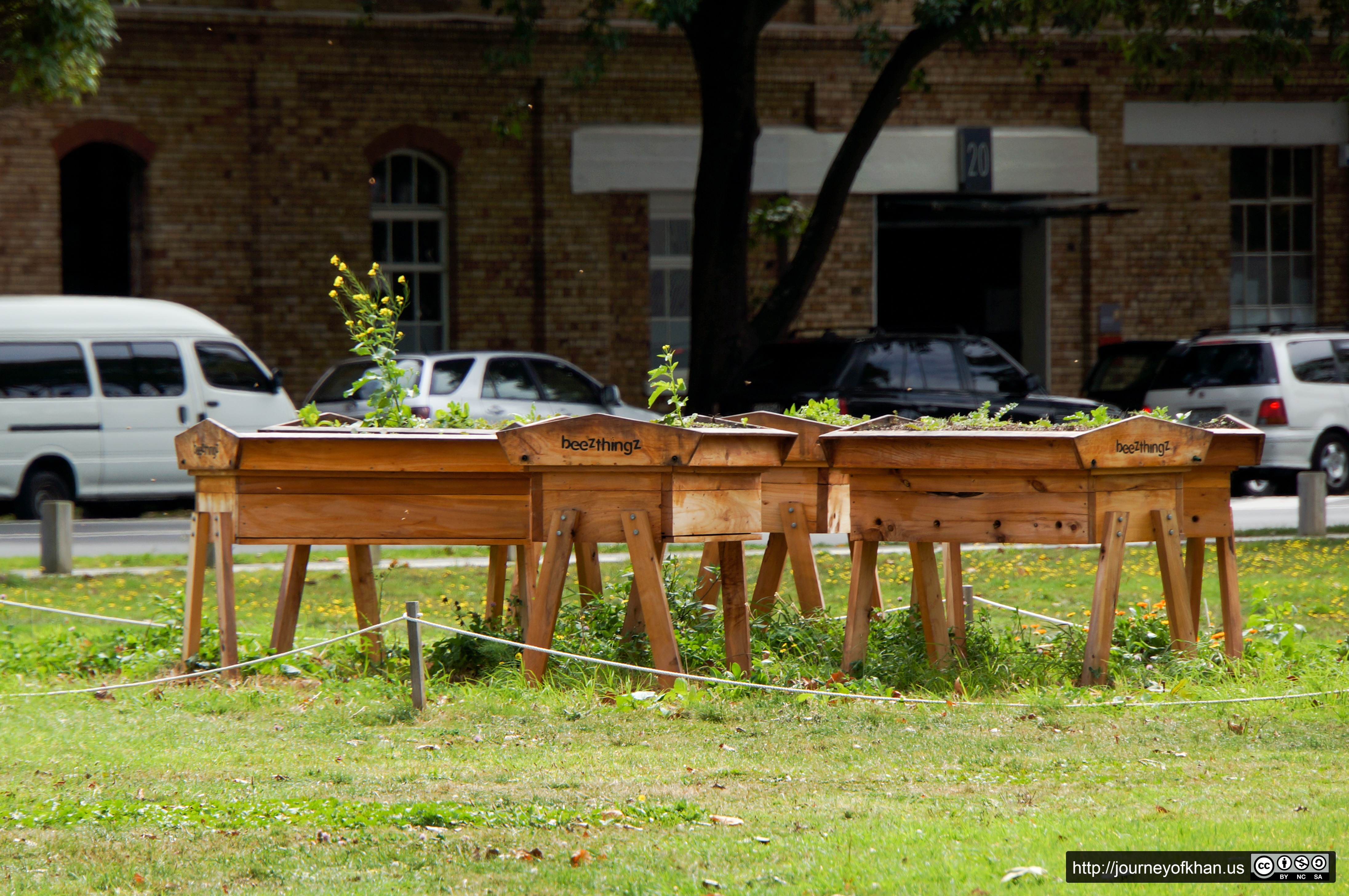 Beehives in a Park (High Resolution)