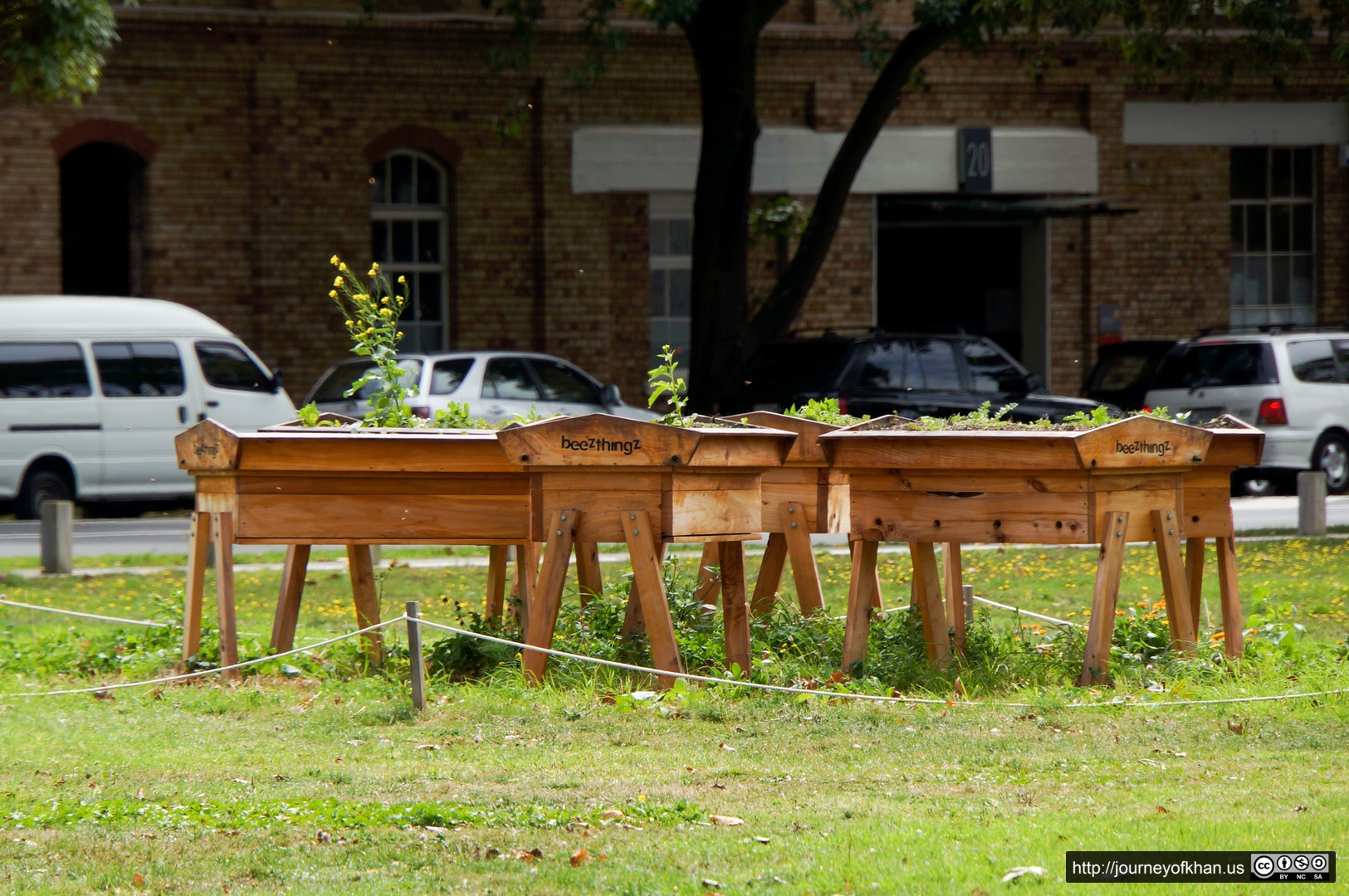 Beehives in a Park