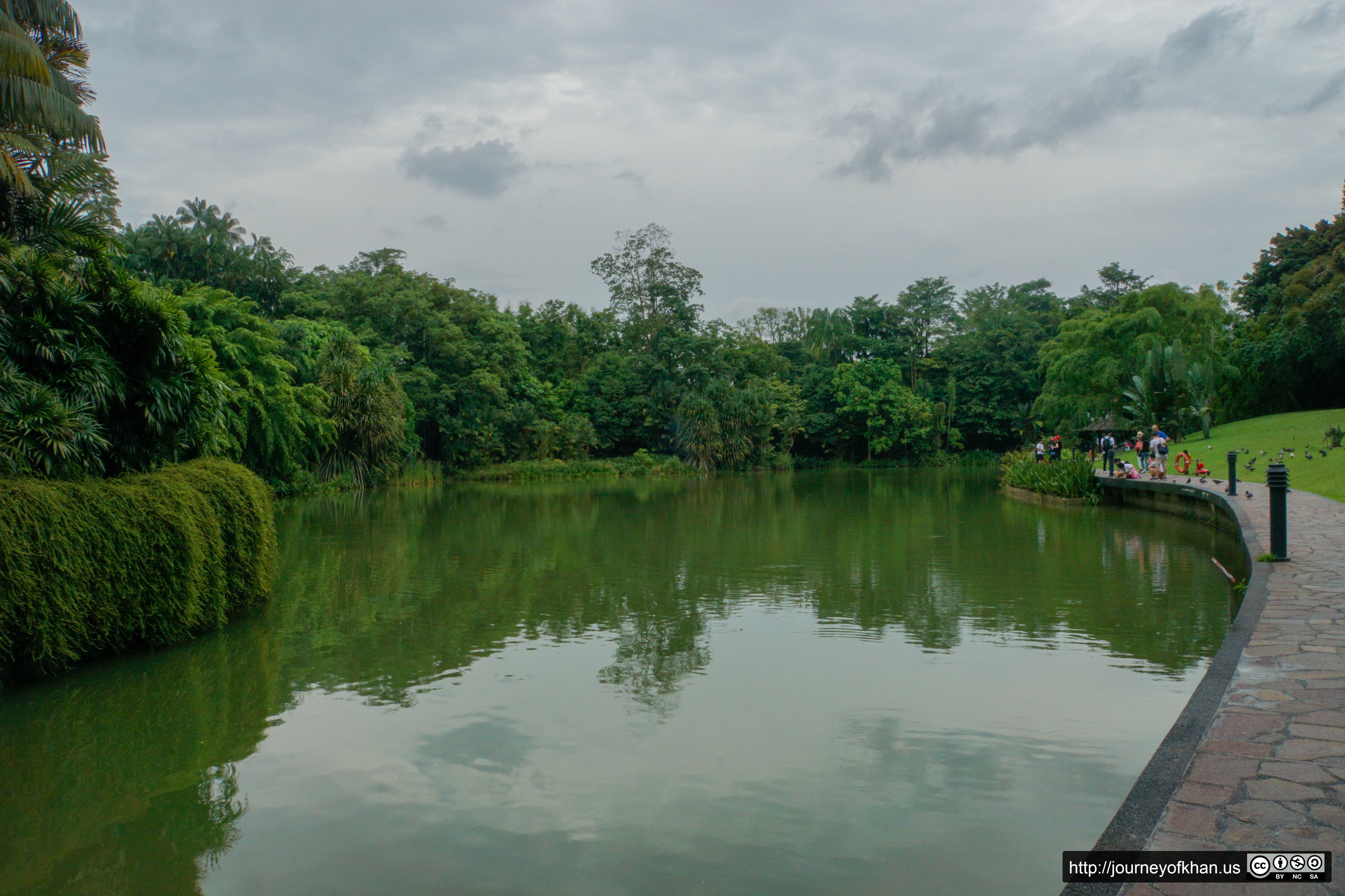 Stormy Pond in the Botanic Gardens of Singapore (High Resolution)