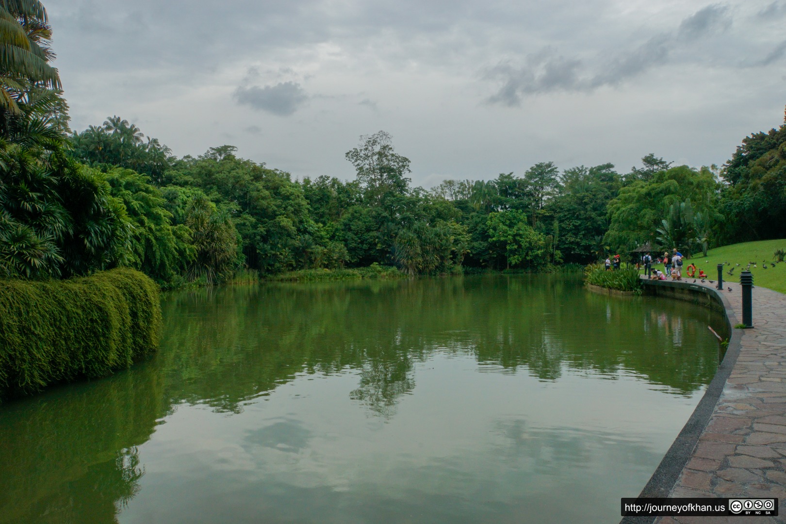 Stormy Pond in the Botanic Gardens of Singapore