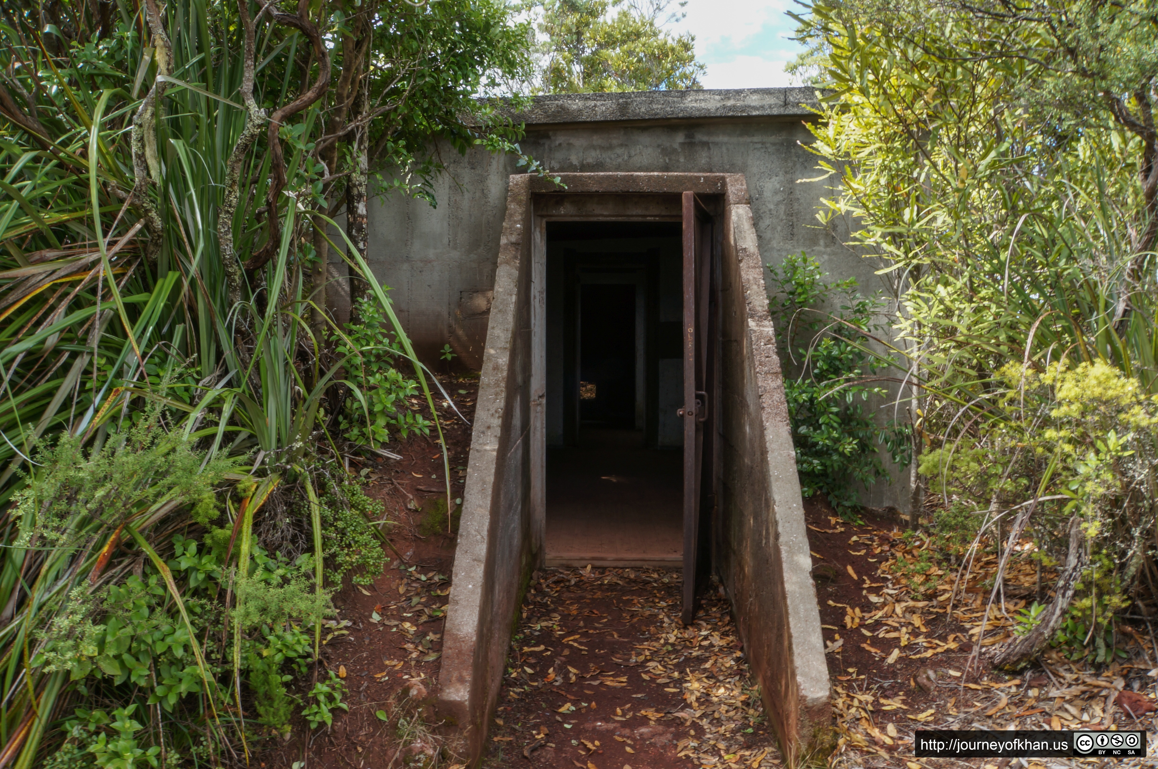 Abandoned Bunker on Rangitoto (High Resolution)