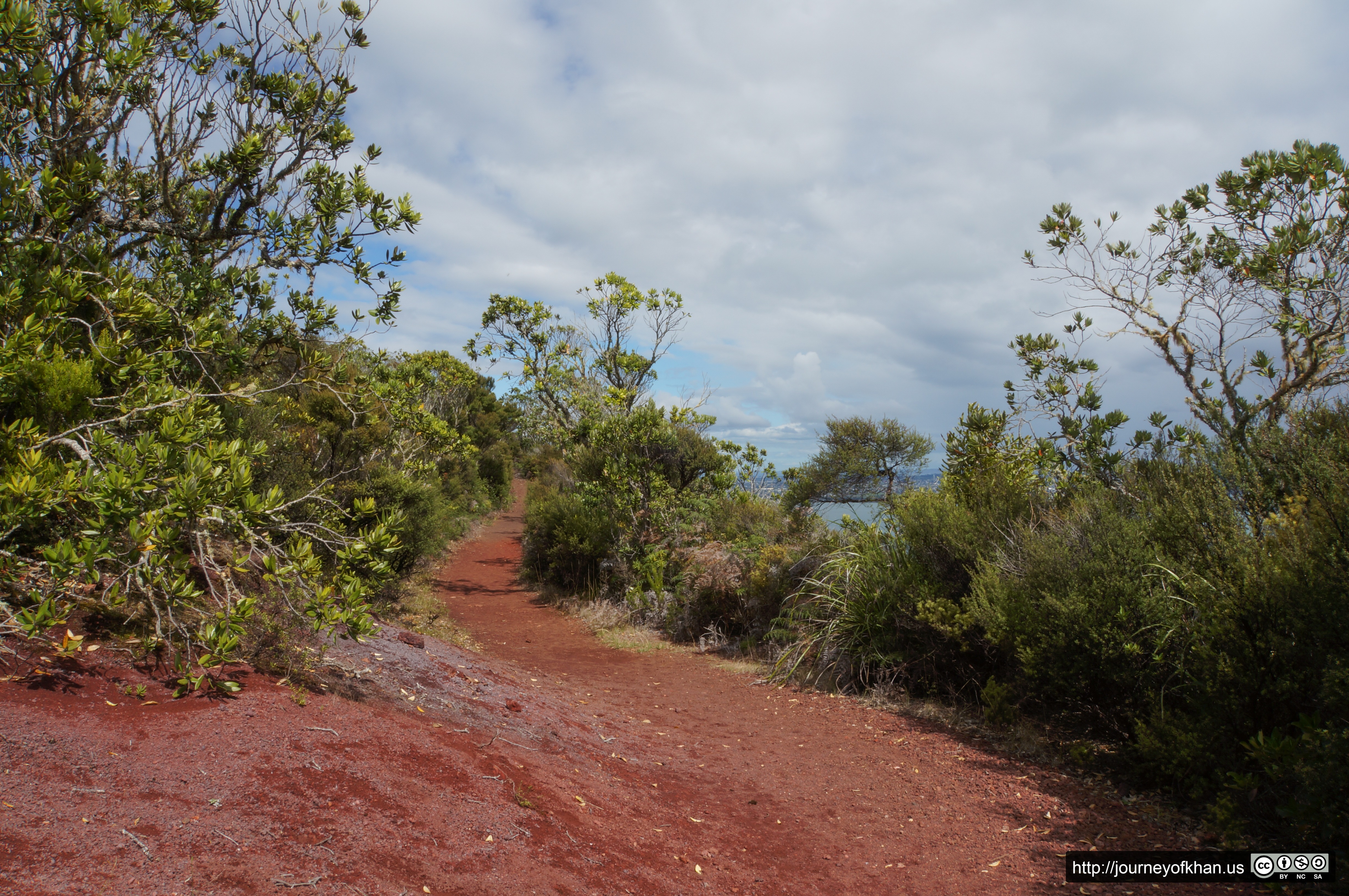 Trail on Rangitoto (High Resolution)