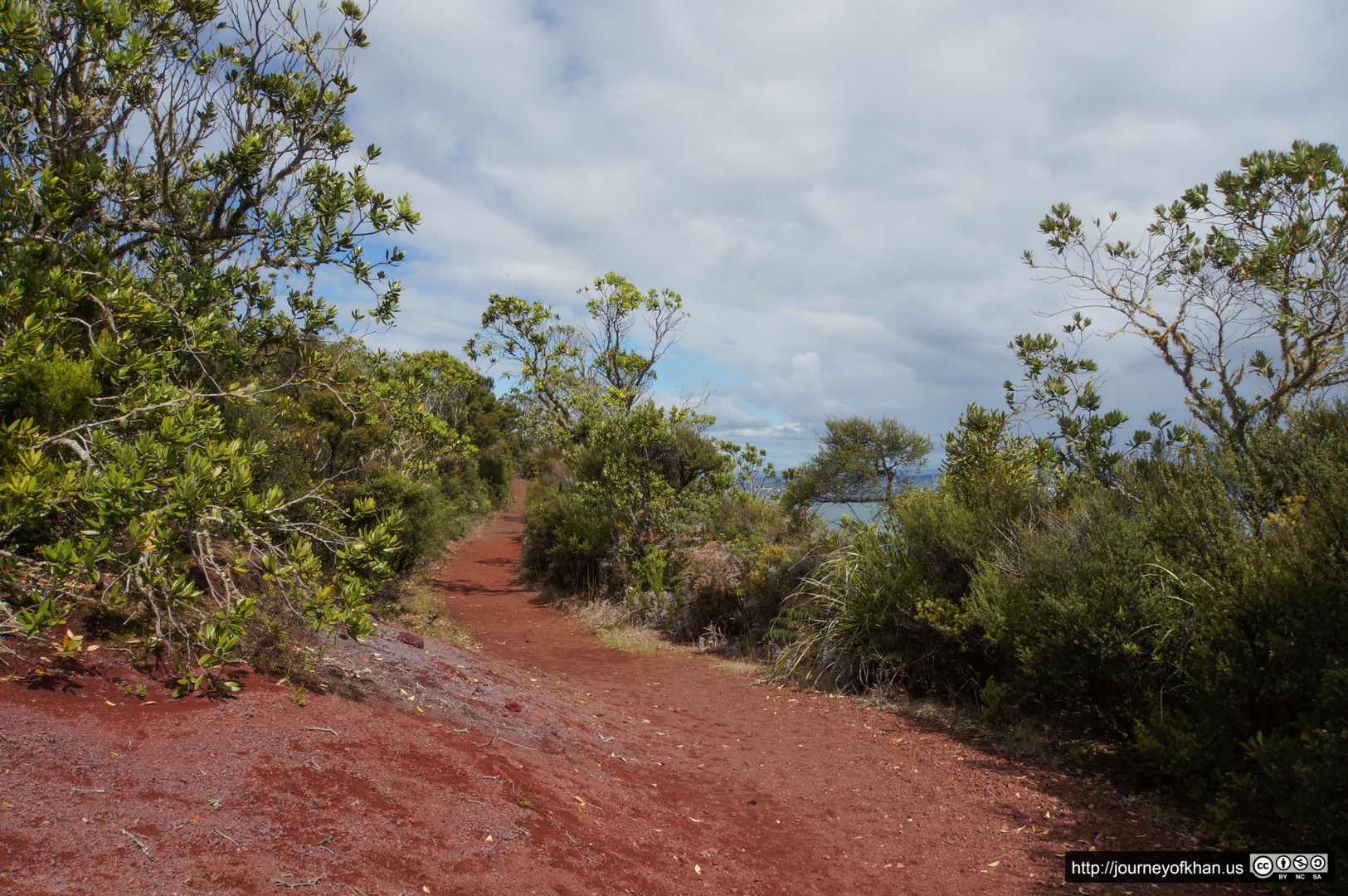 Trail on Rangitoto