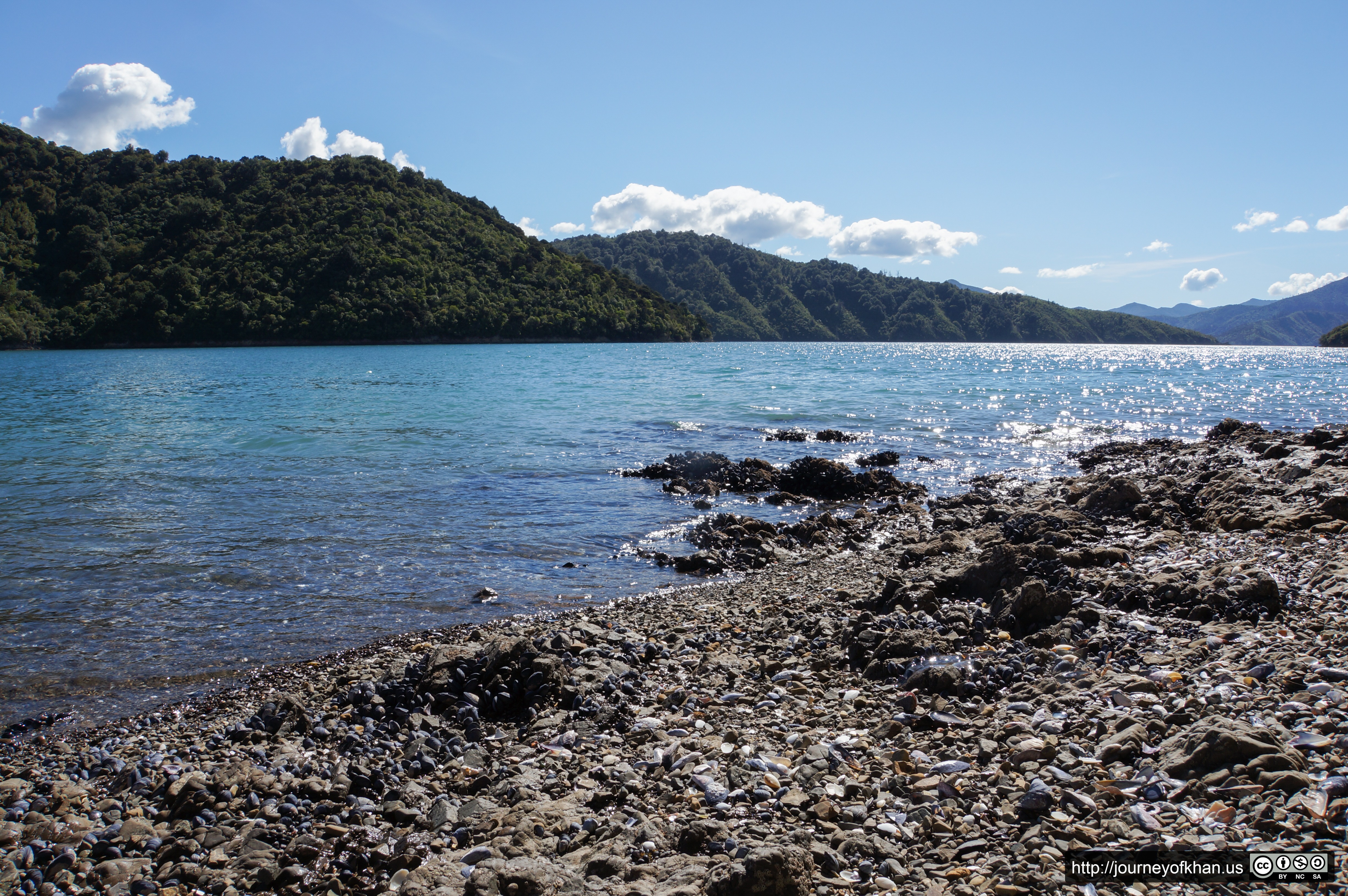 The Shores of Picton (High Resolution)
