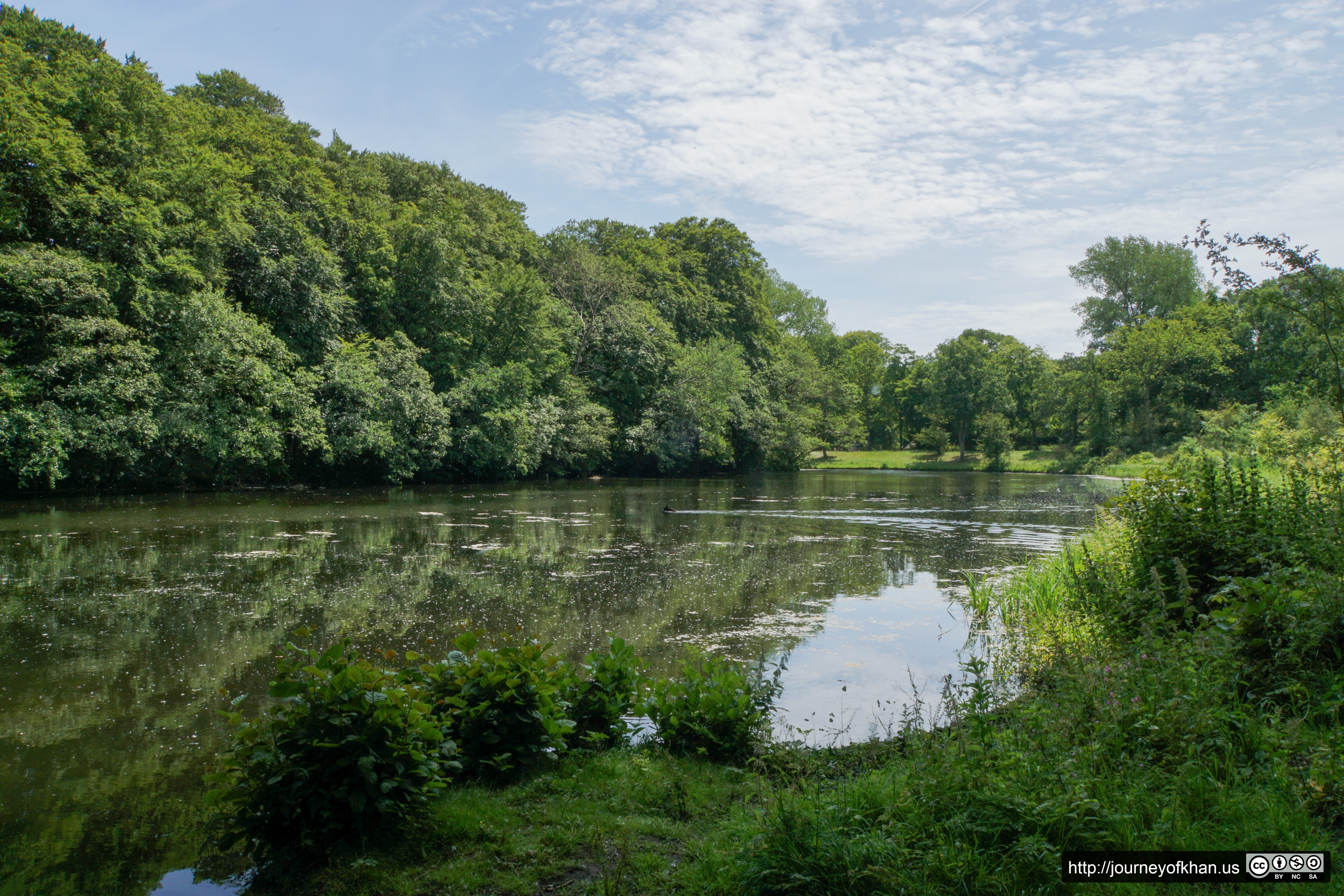 Water of Brouwerskolkpark (High Resolution)