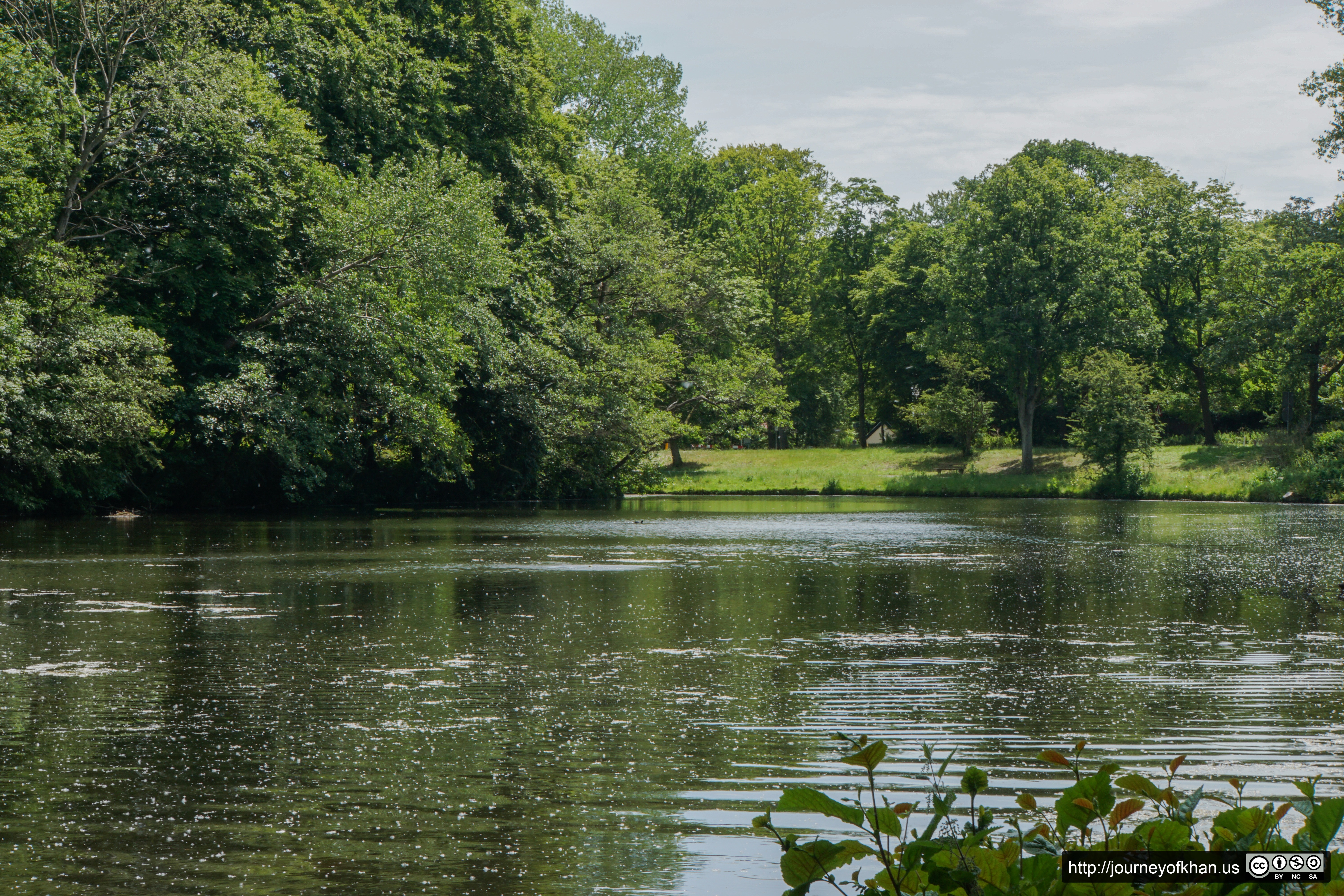 Lake at Brouwerskolkpark (High Resolution)