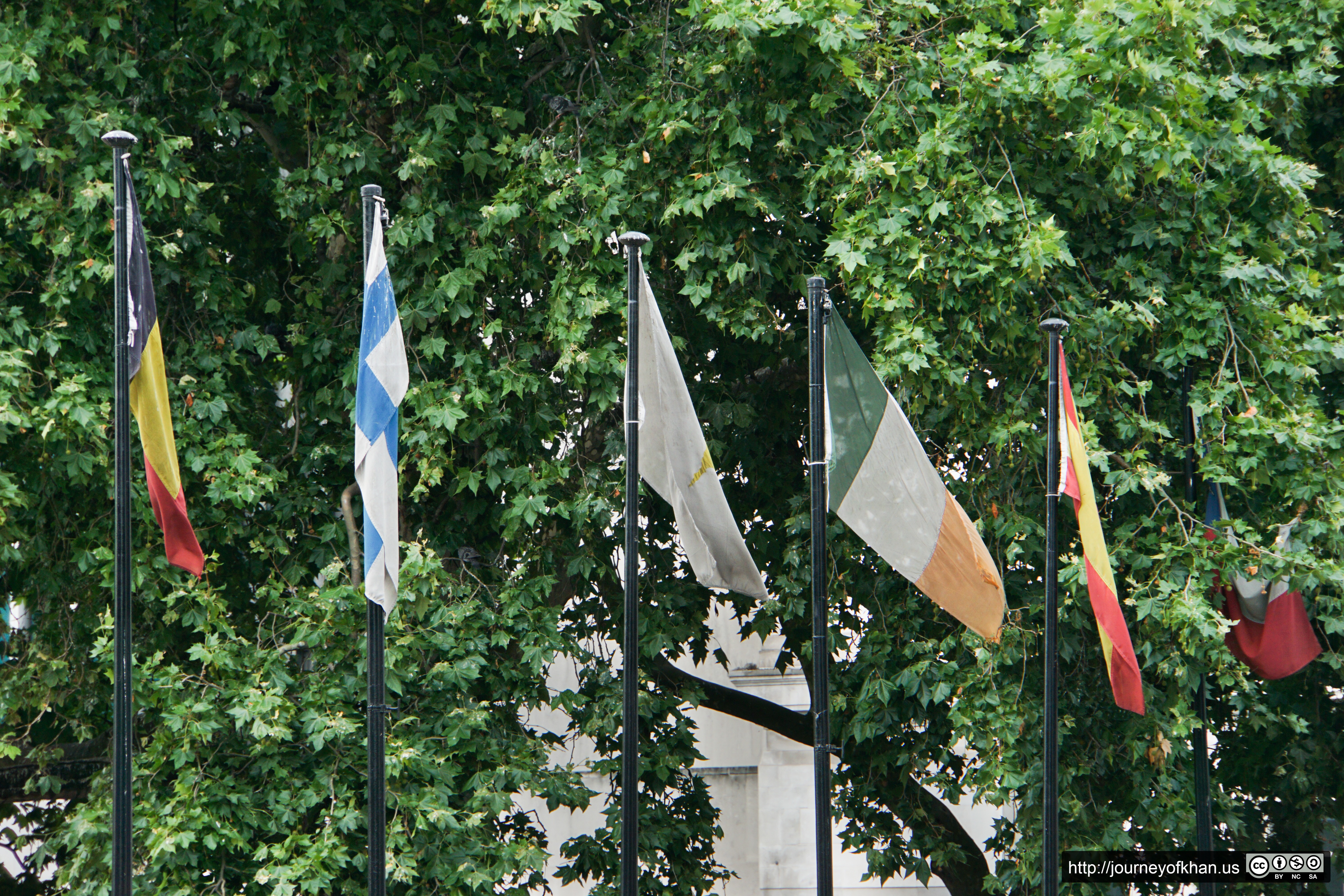 Tattered Flags (High Resolution)