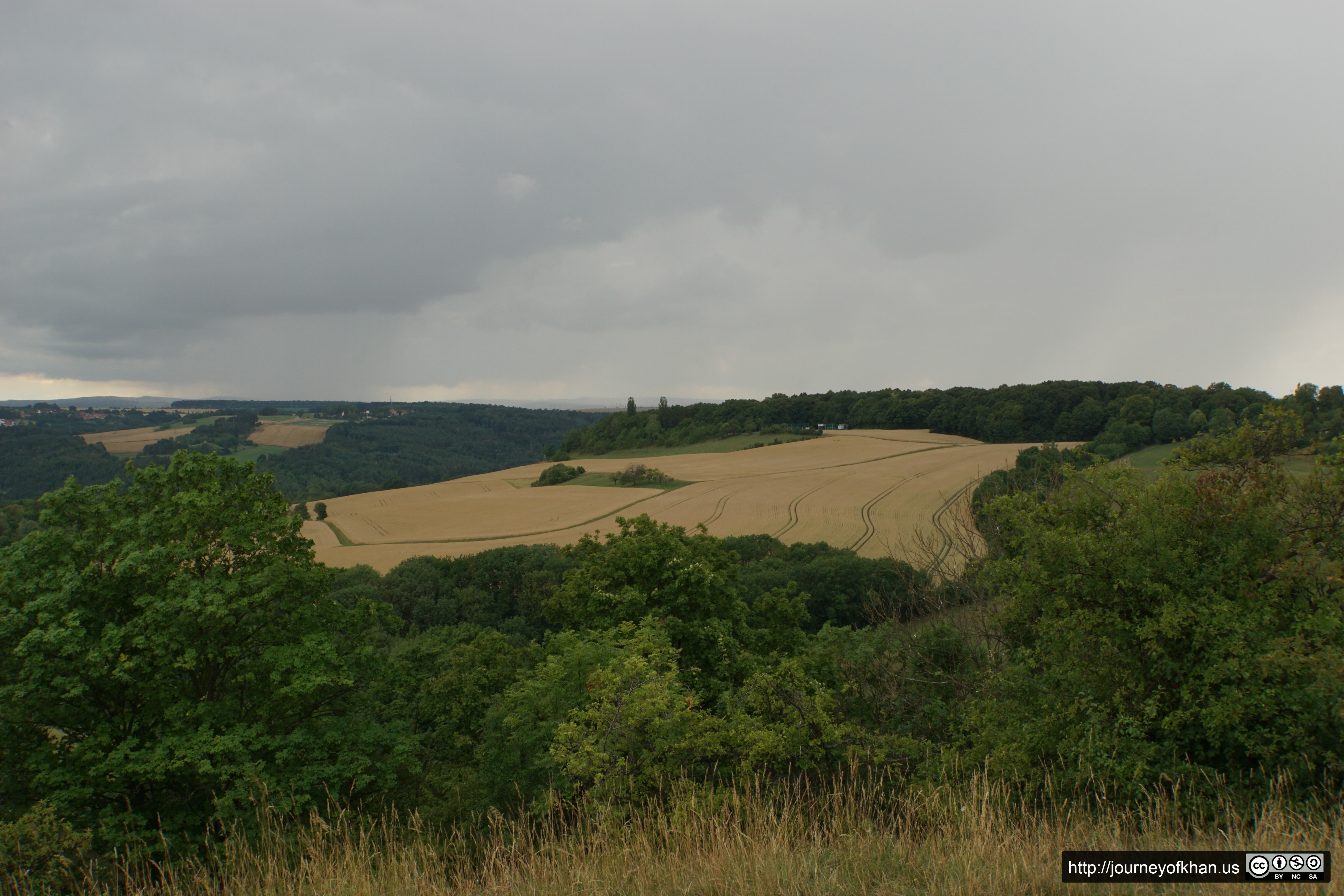 Golden Fields in the Heart of Germany (High Resolution)