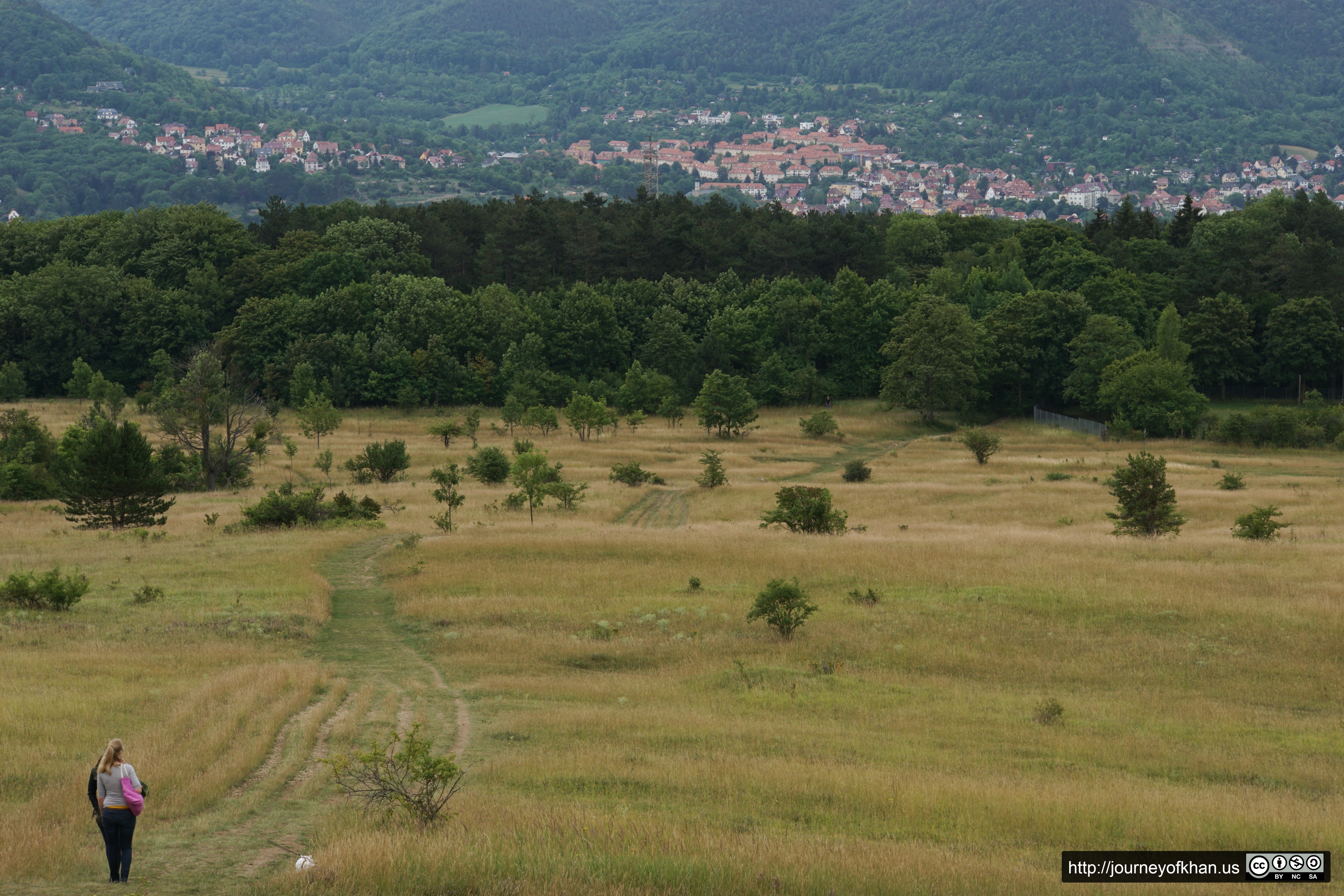 Travelers on the road to Napoleonstein (High Resolution)