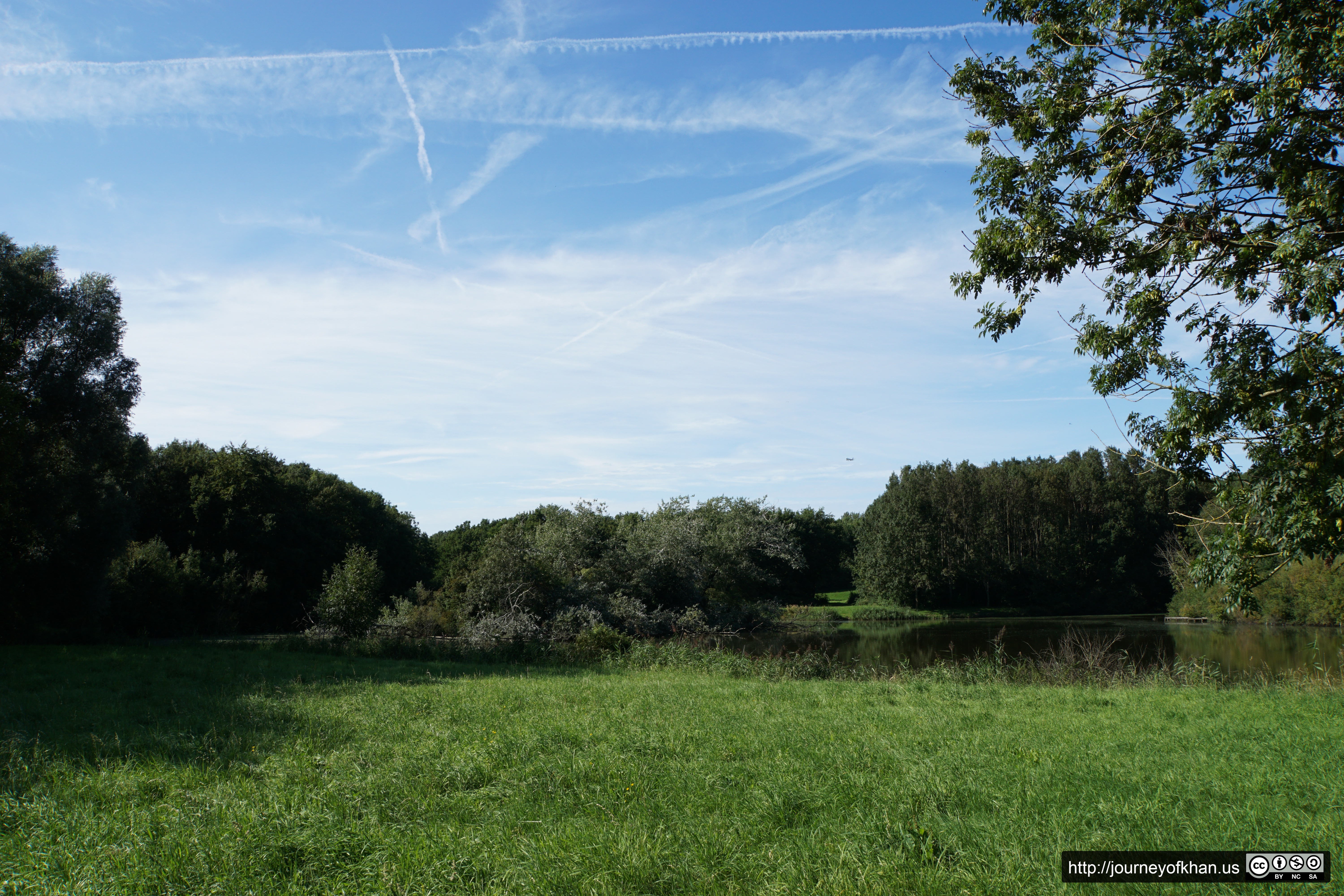 Paper Airplanes (High Resolution)