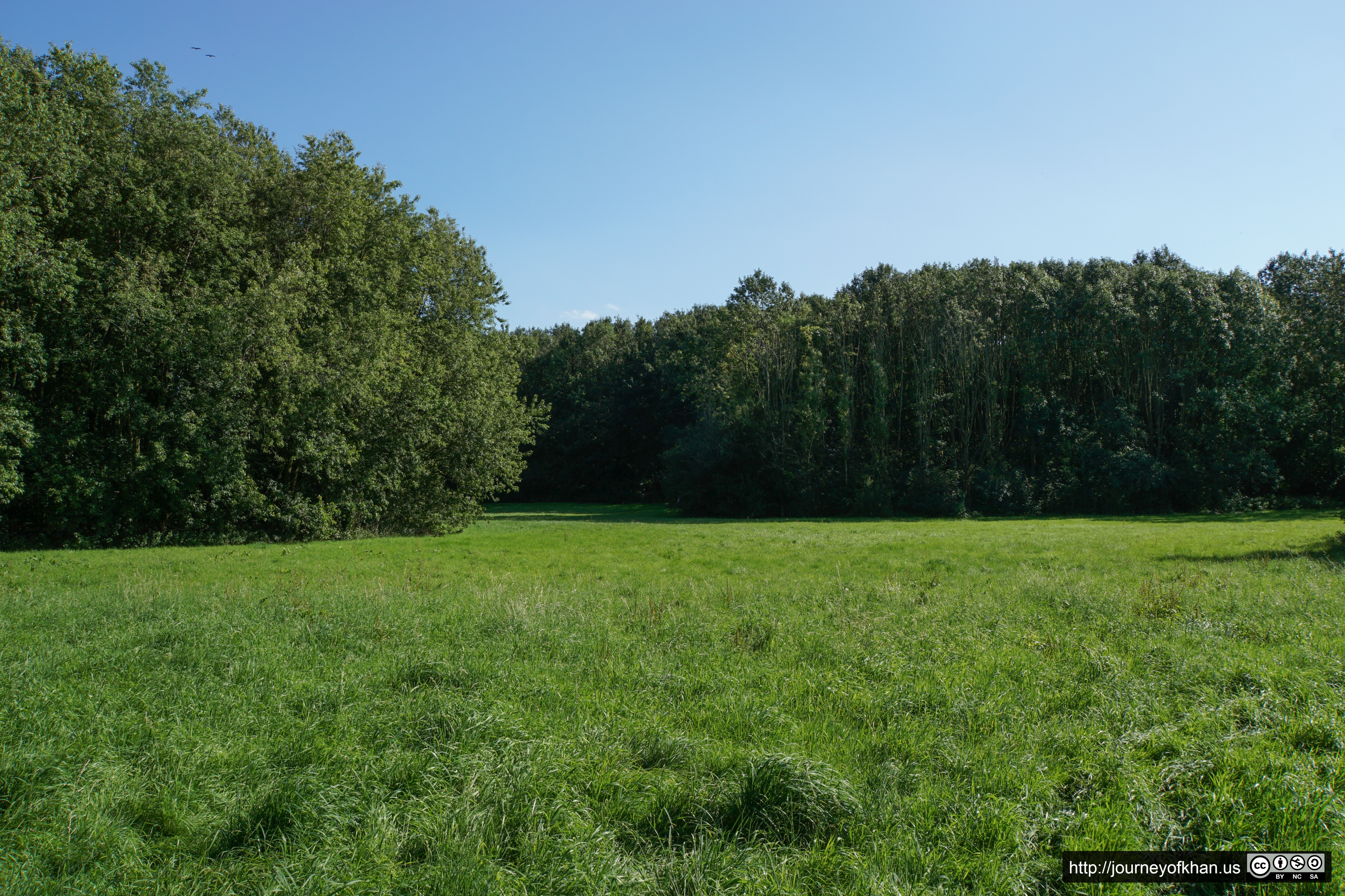 Sea of Green and Sky (High Resolution)