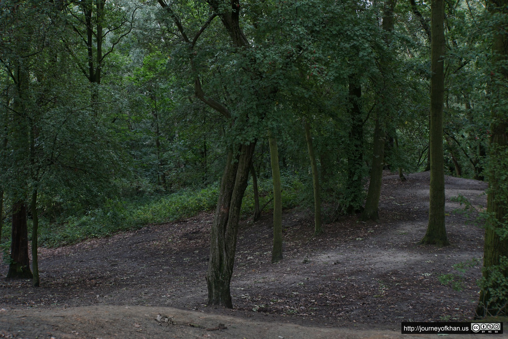 Forest of Gemeentelijk Park