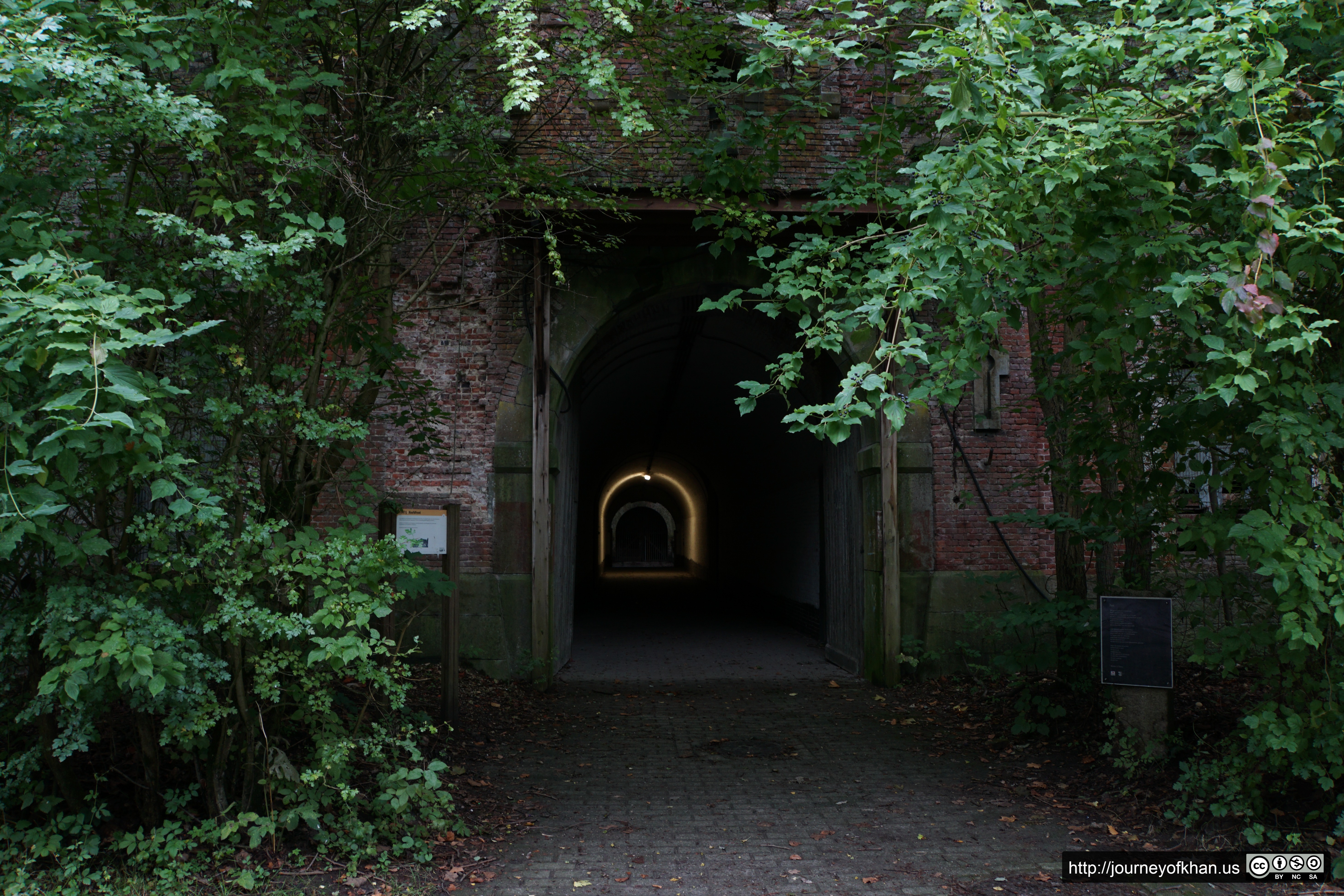 Tunnel Halo (High Resolution)