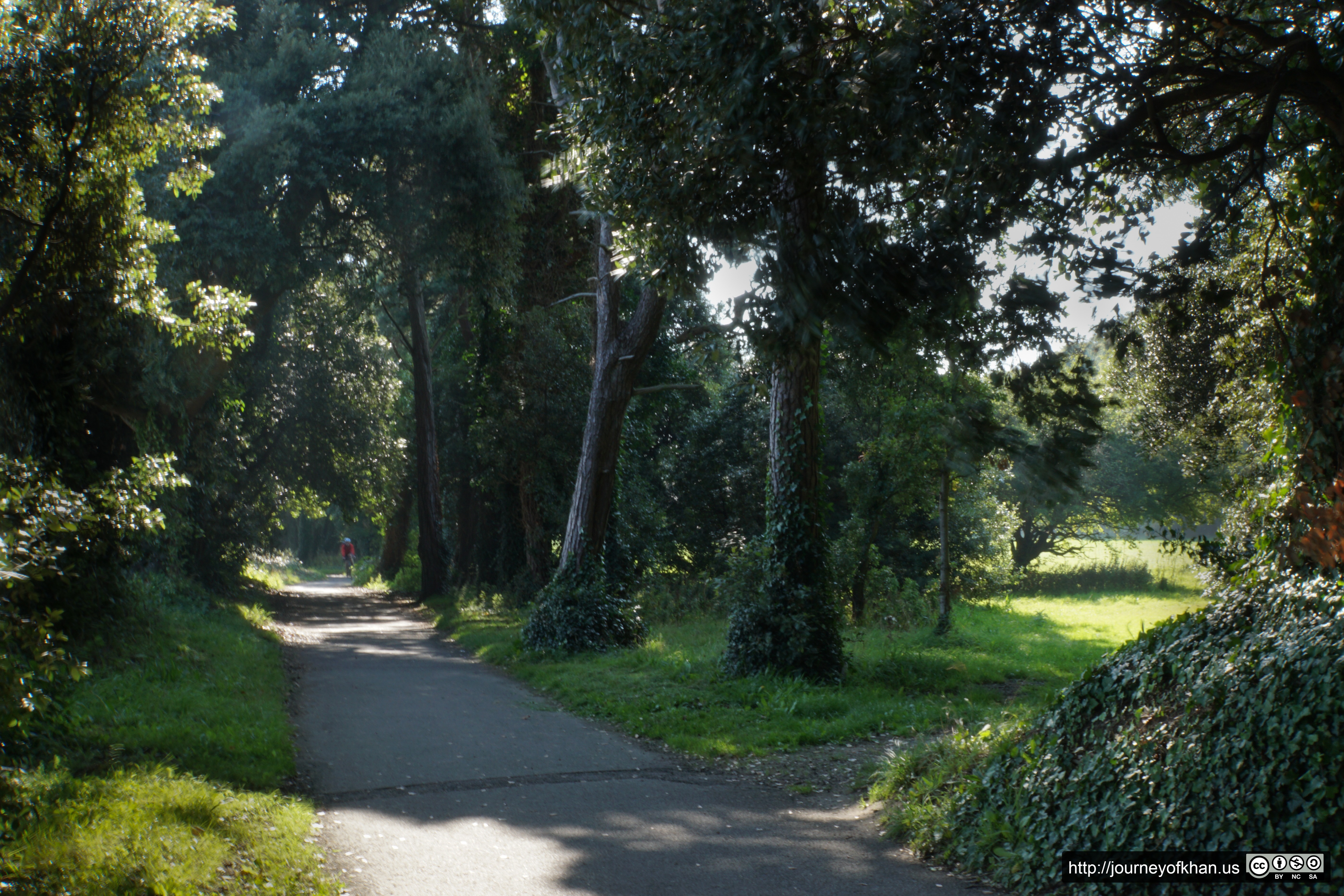 Cycling down a Footpath (High Resolution)