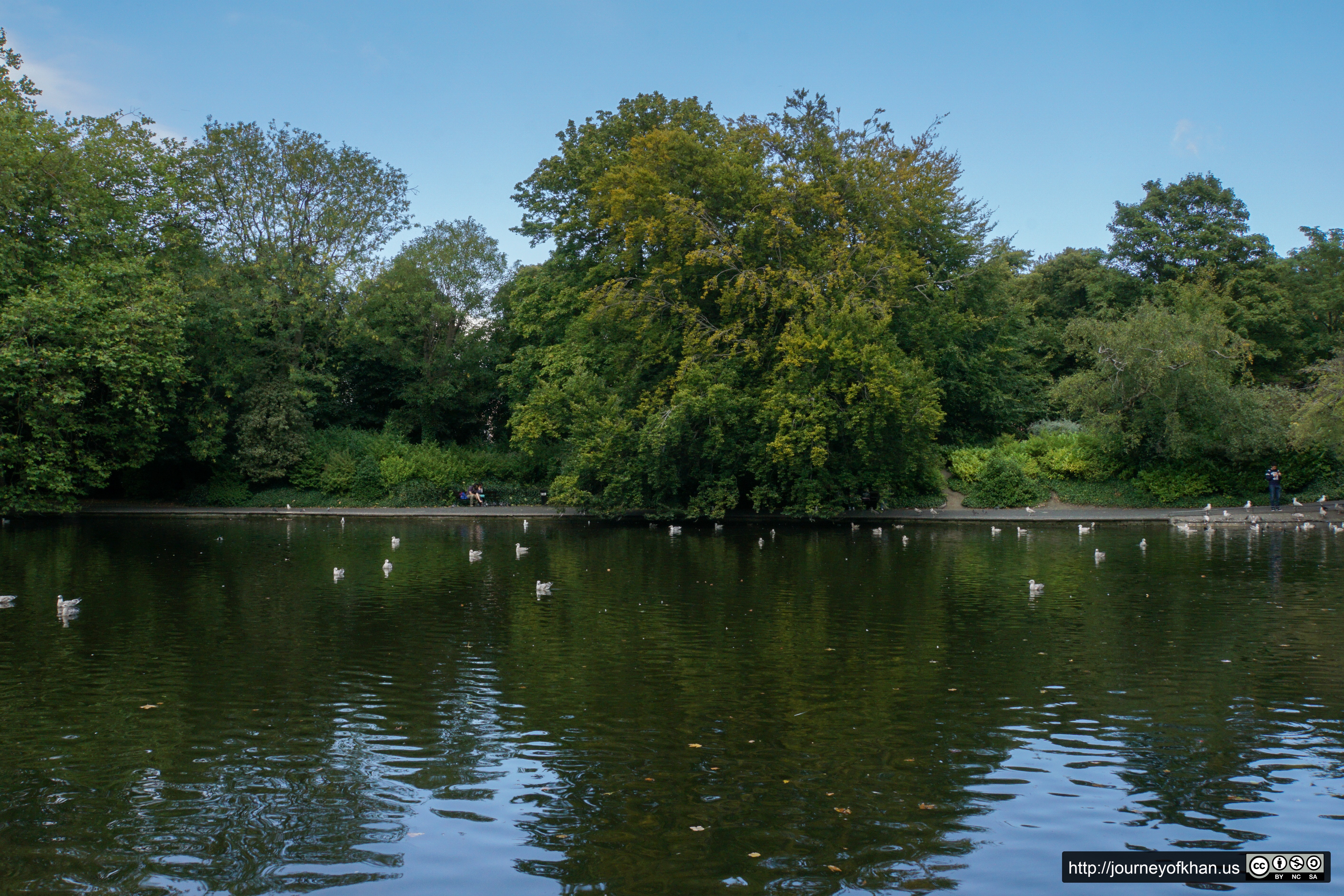 Quiet Pond in St. Anne's Park (High Resolution)